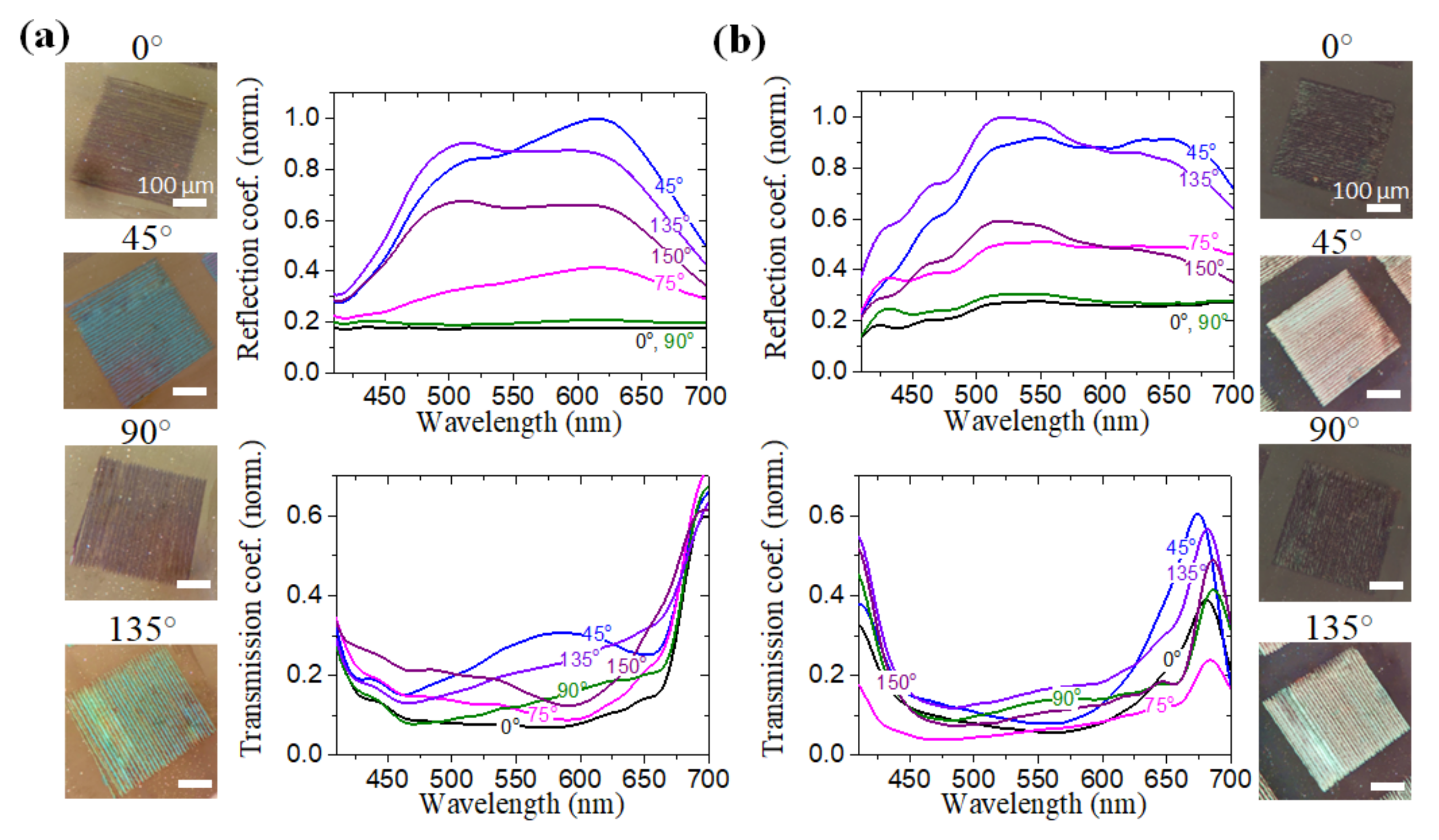 Nanomaterials 12 02811 g004