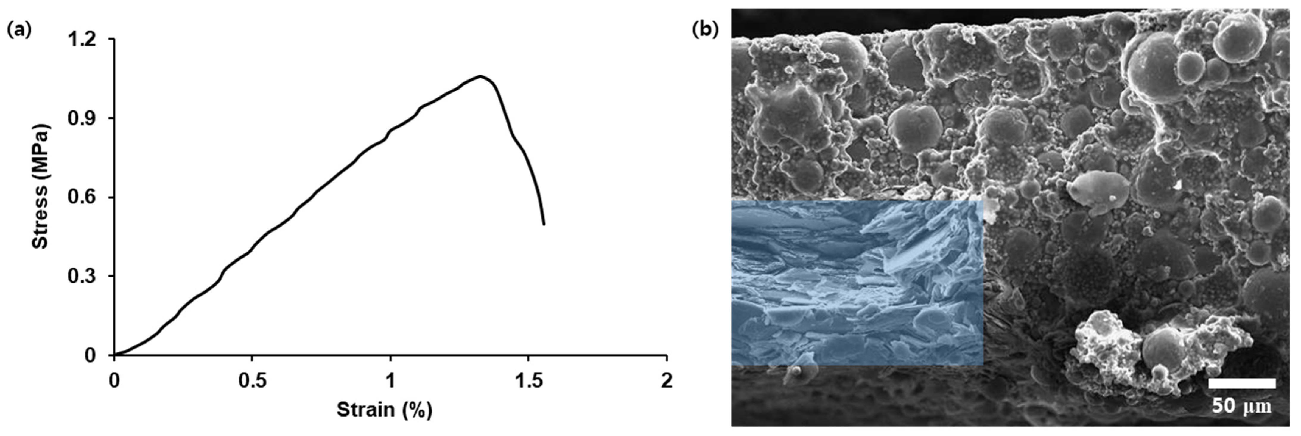 Nanomaterials 12 02815 g008