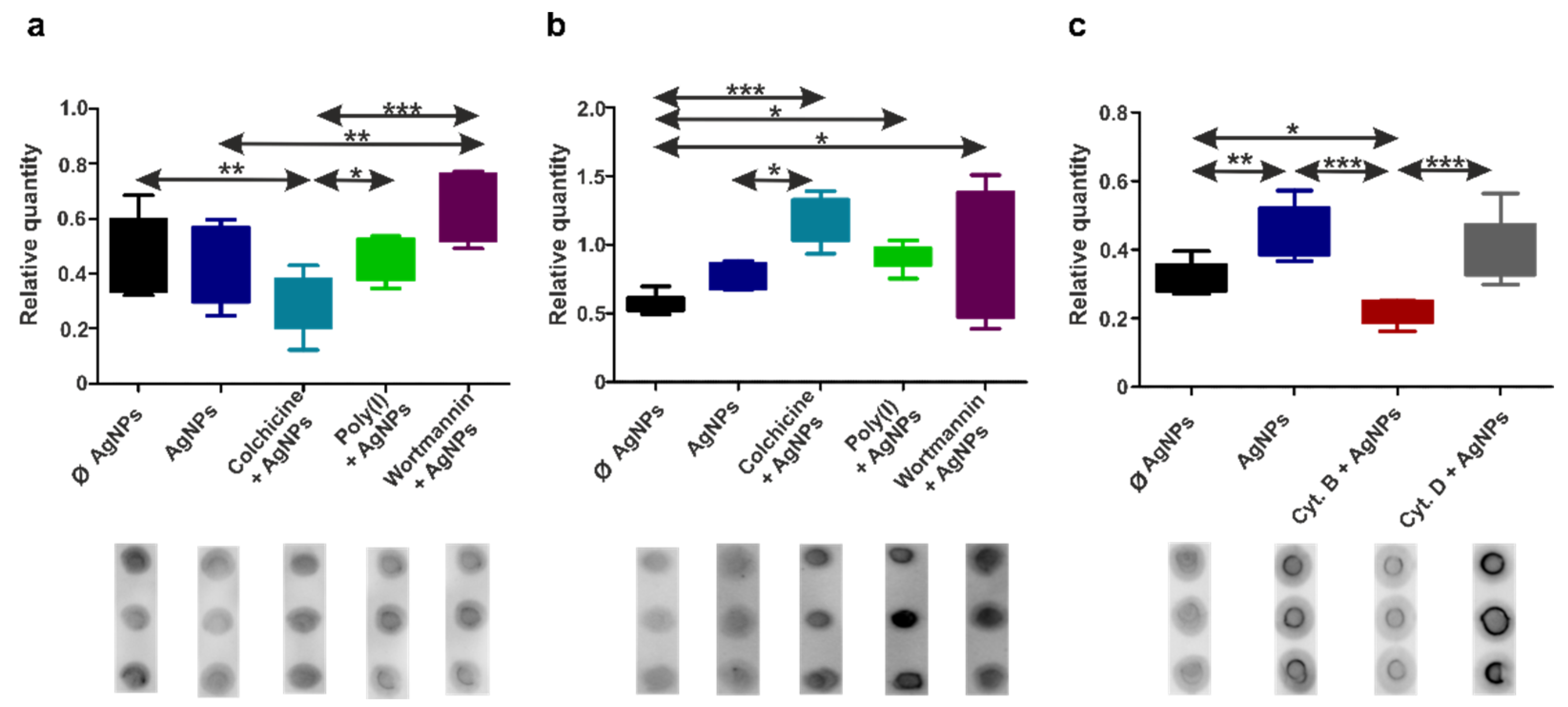 Nanomaterials 12 02818 g007 Nanomaterials 12 02818 g007