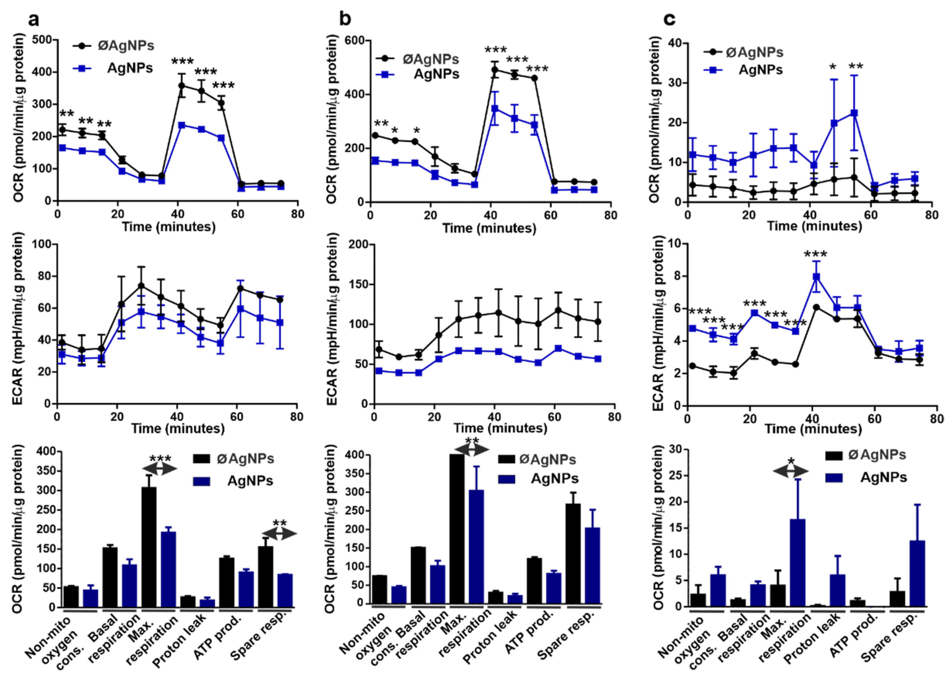 Nanomaterials 12 02818 g008 Nanomaterials 12 02818 g008