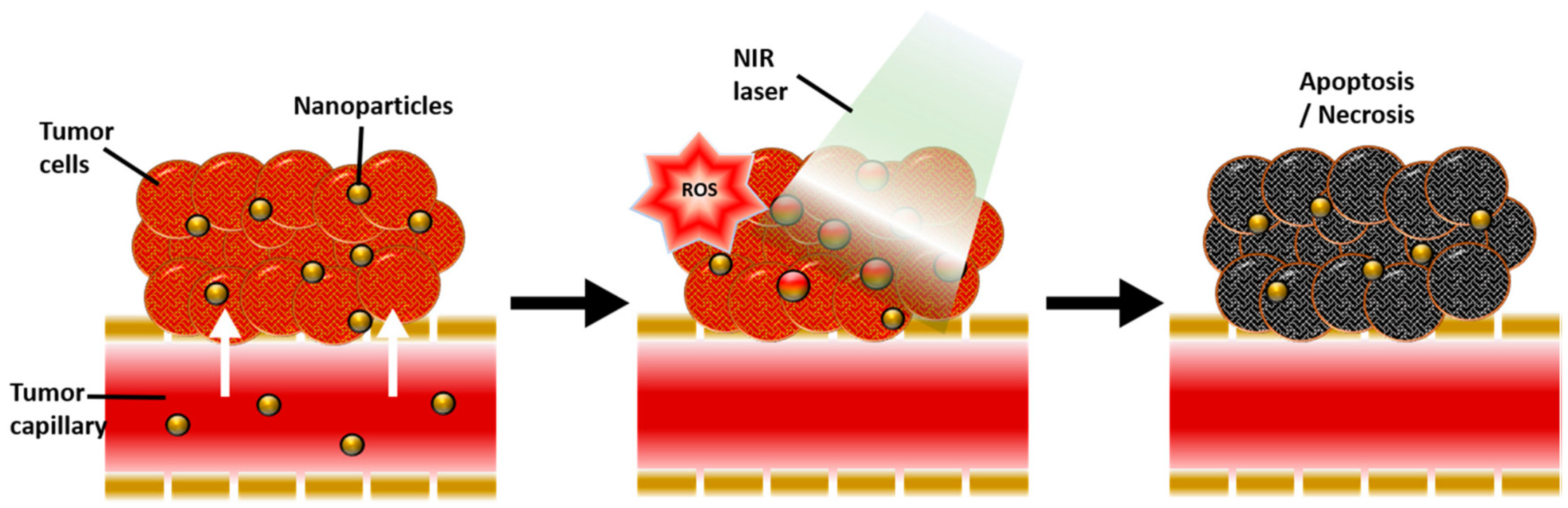 Nanomaterials 12 02826 g005 Nanomaterials 12 02826 g005
