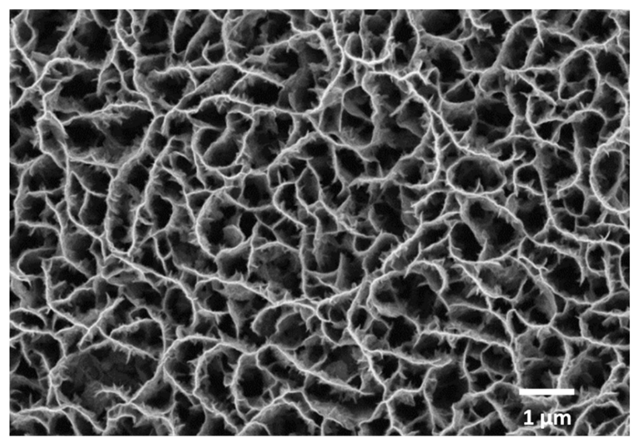 Nanomaterials 12 02830 g002