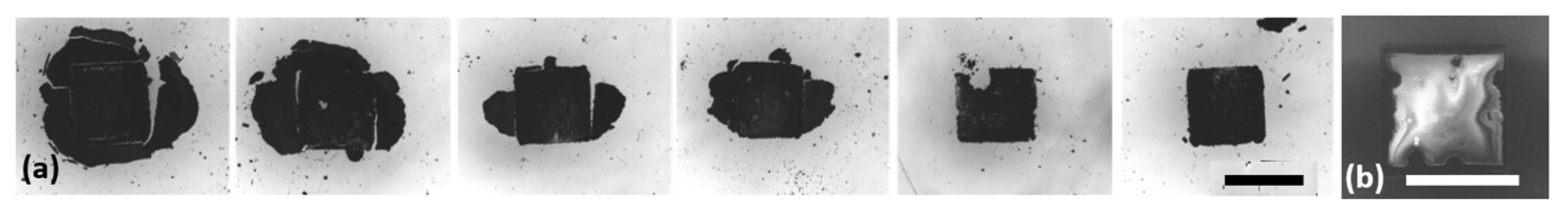 Nanomaterials 12 02830 g003