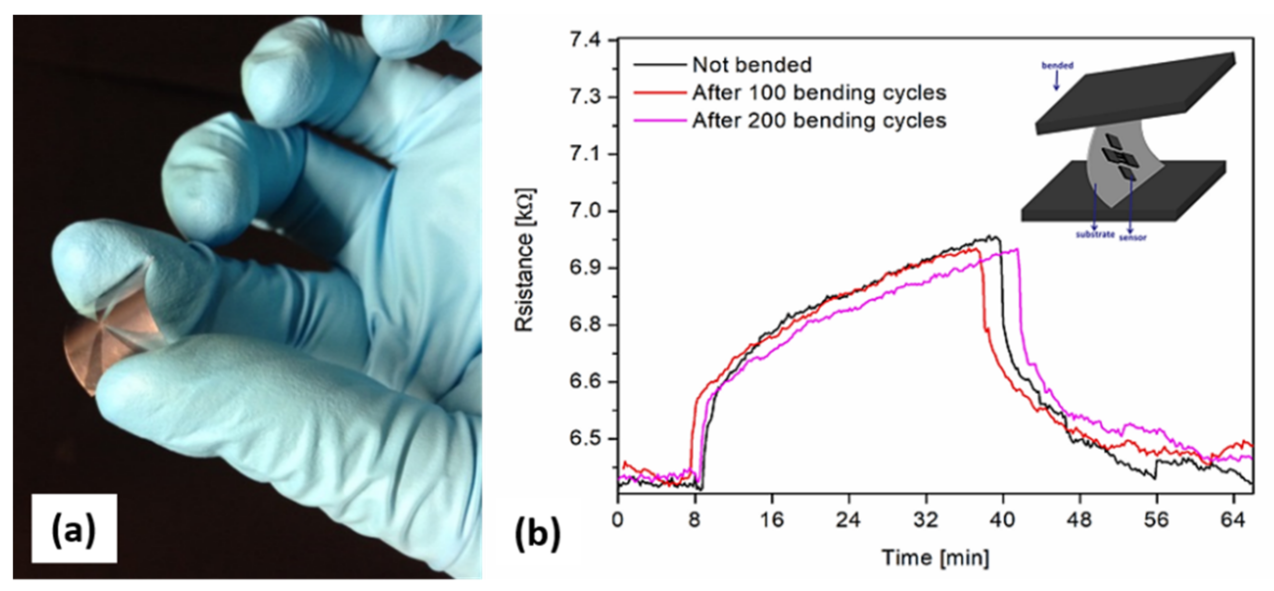 Nanomaterials 12 02830 g007