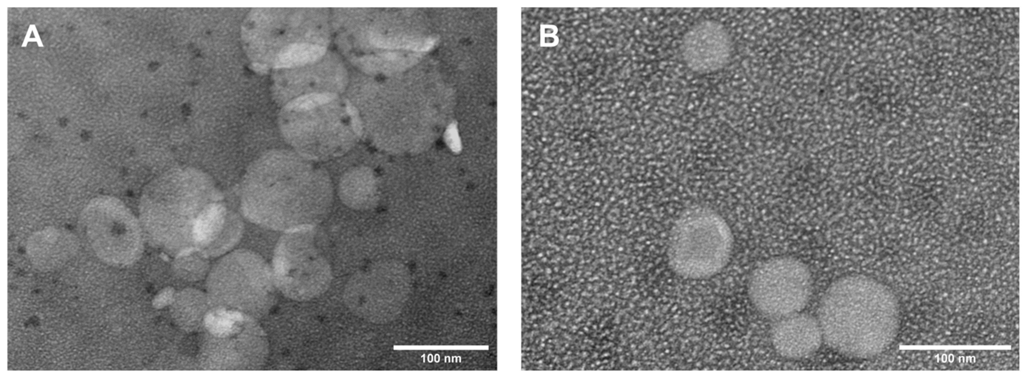 Nanomaterials 12 02833 g003