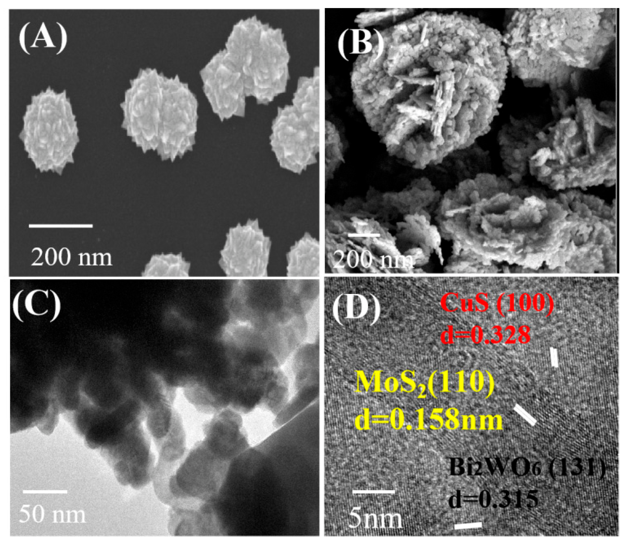 Nanomaterials 12 02834 g003