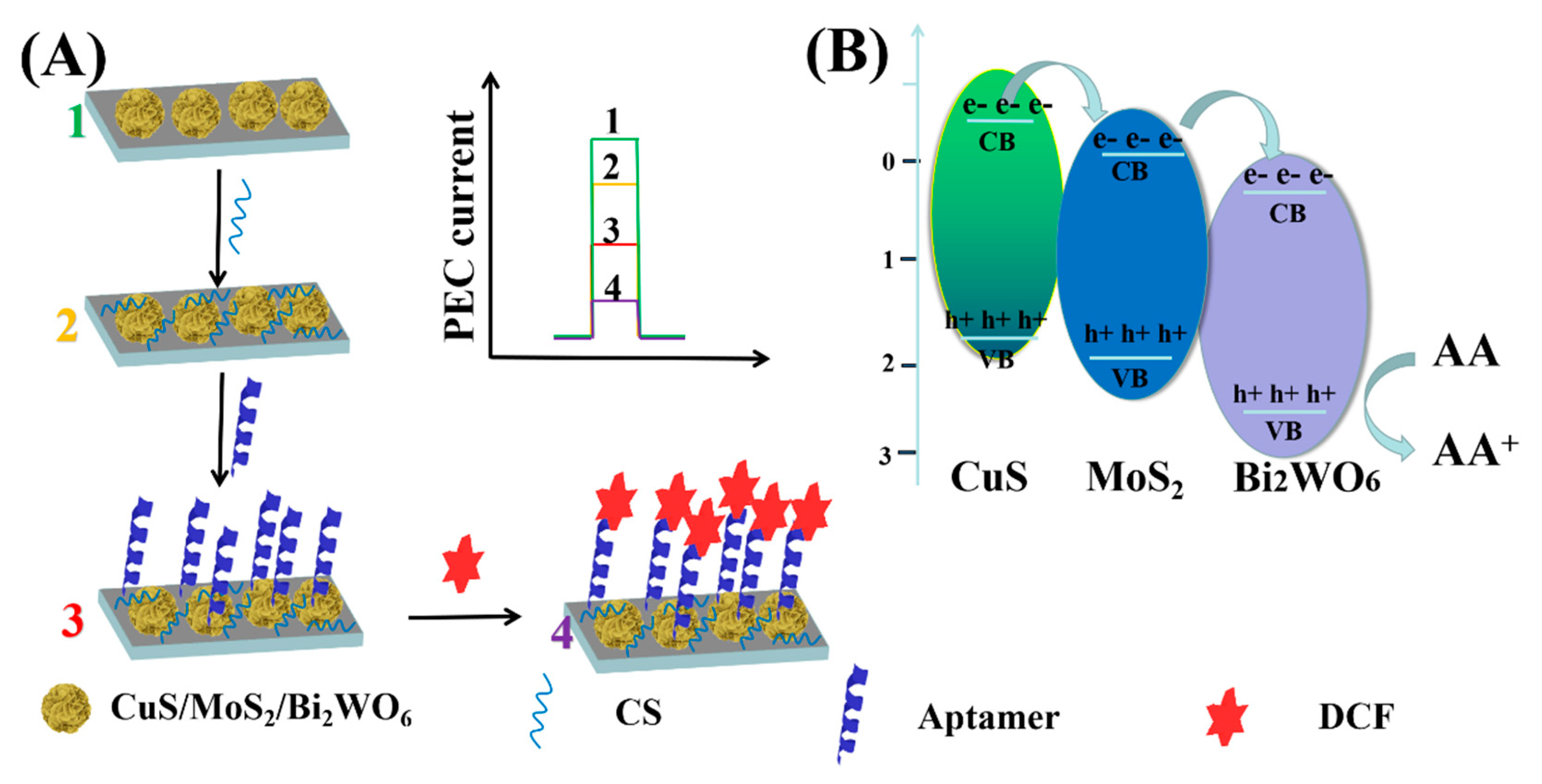 Nanomaterials 12 02834 sch002
