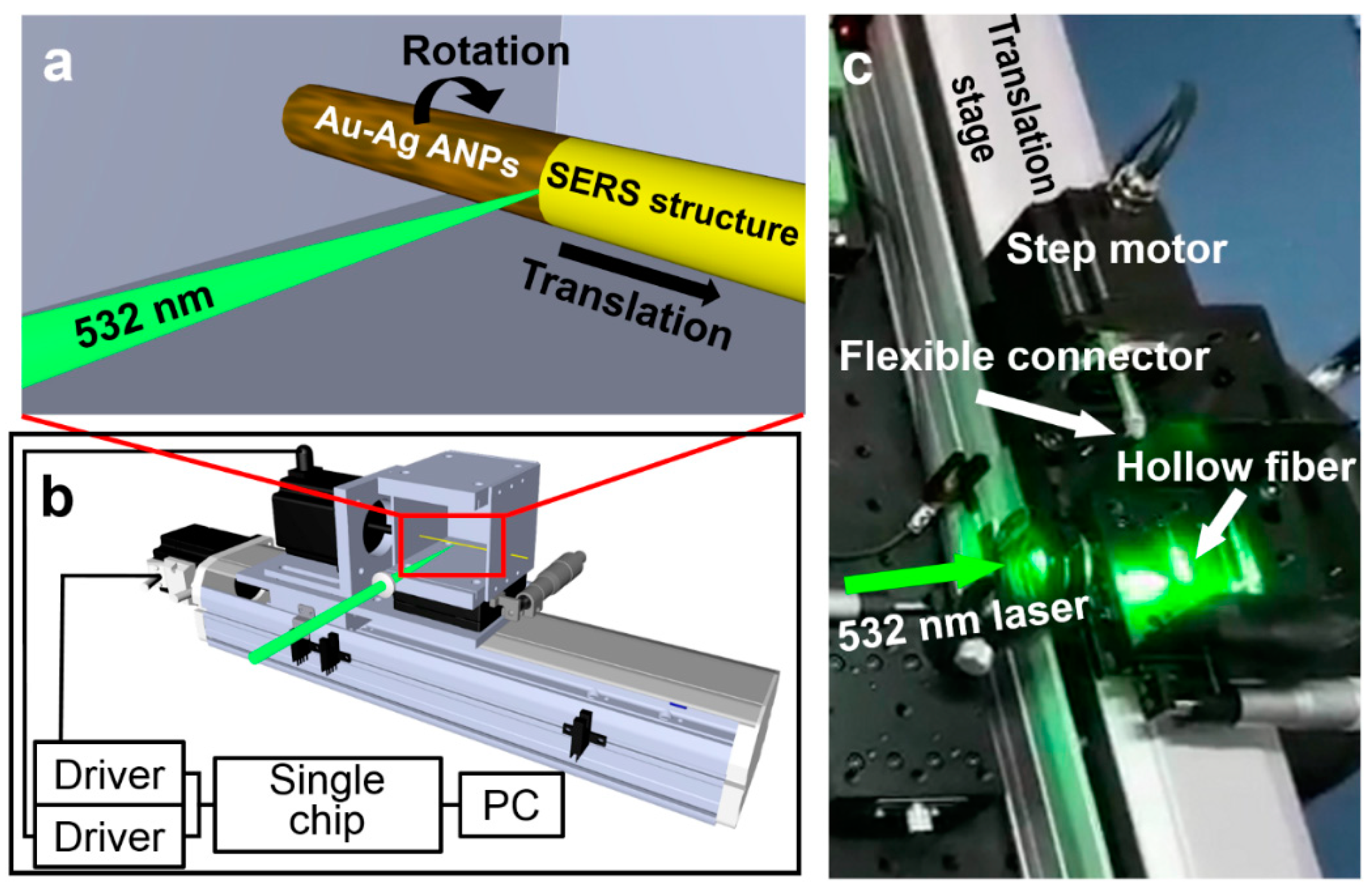 Nanomaterials 12 02843 g002