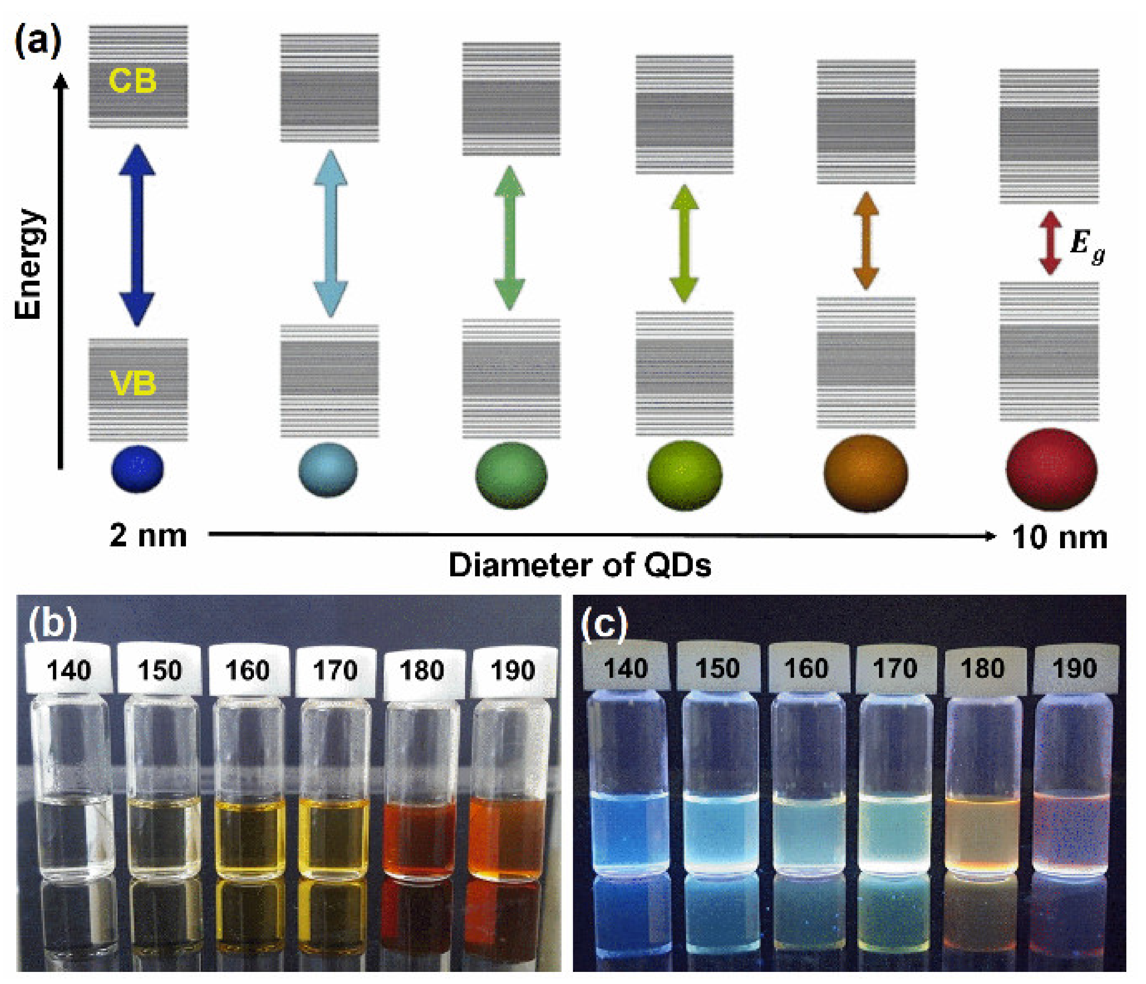Nanomaterials 12 02864 g003
