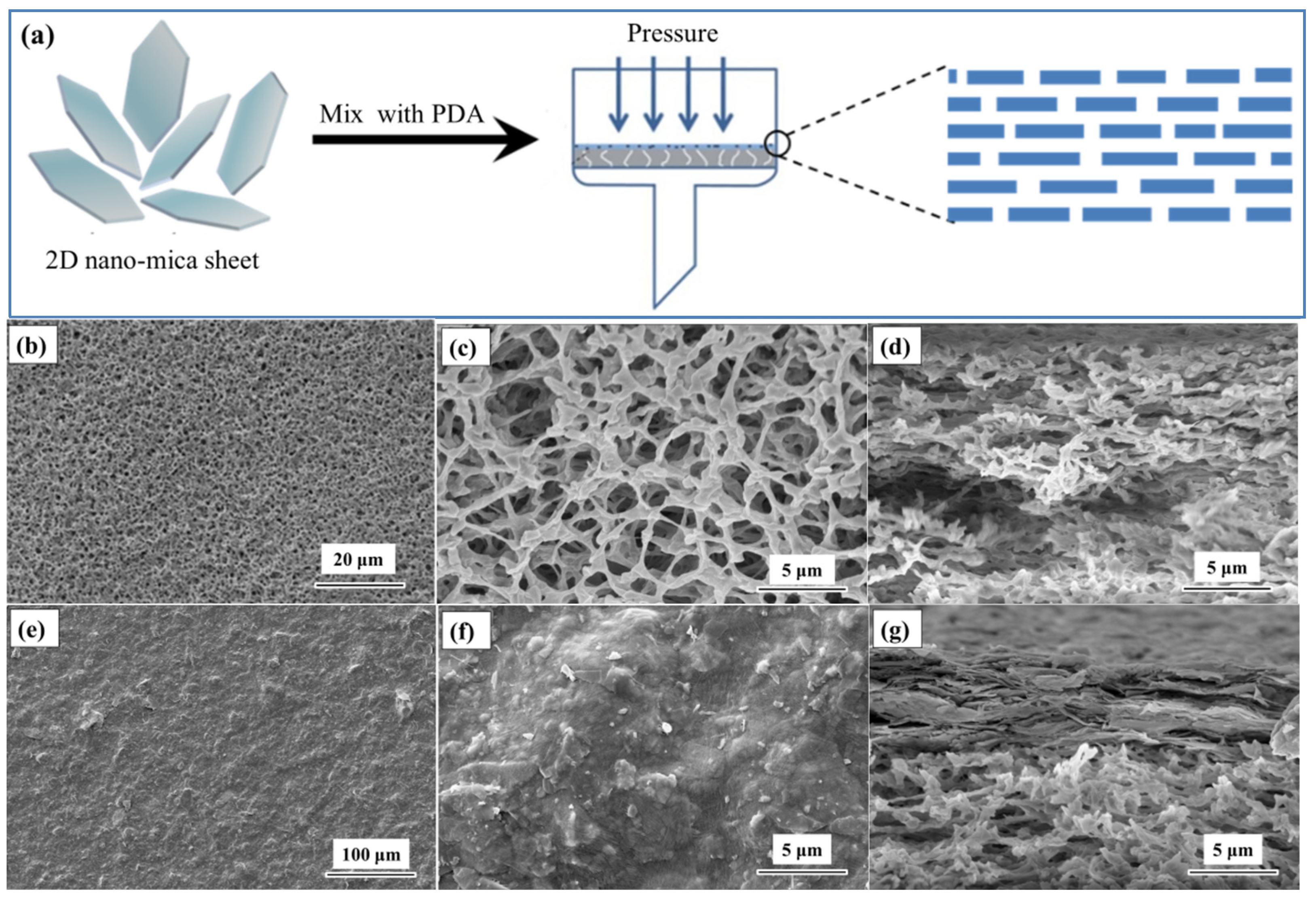 Nanomaterials 12 02895 g003