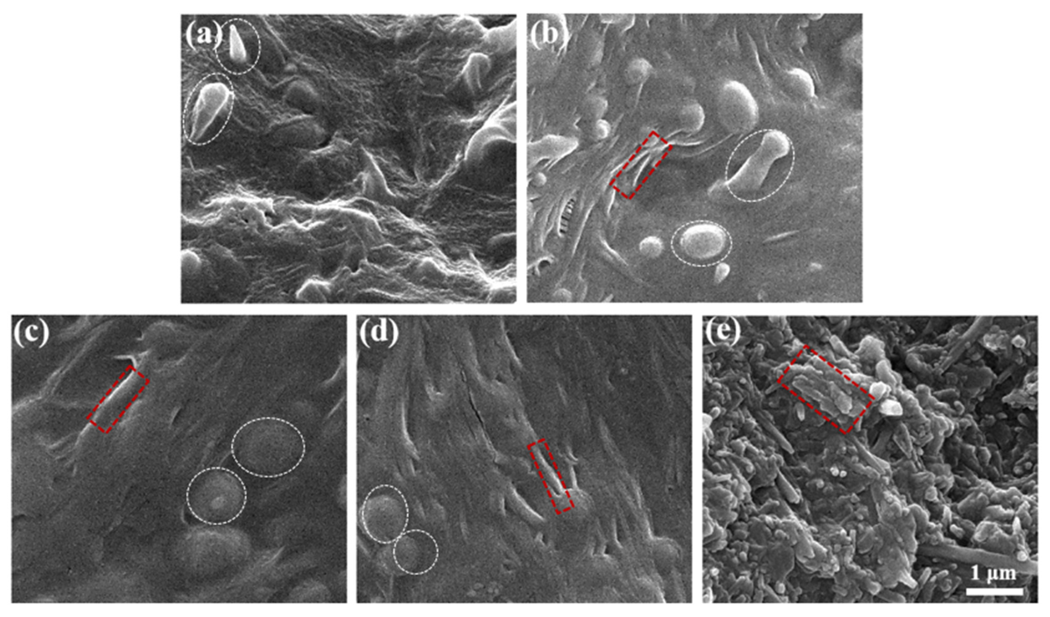 Nanomaterials 12 02896 g005