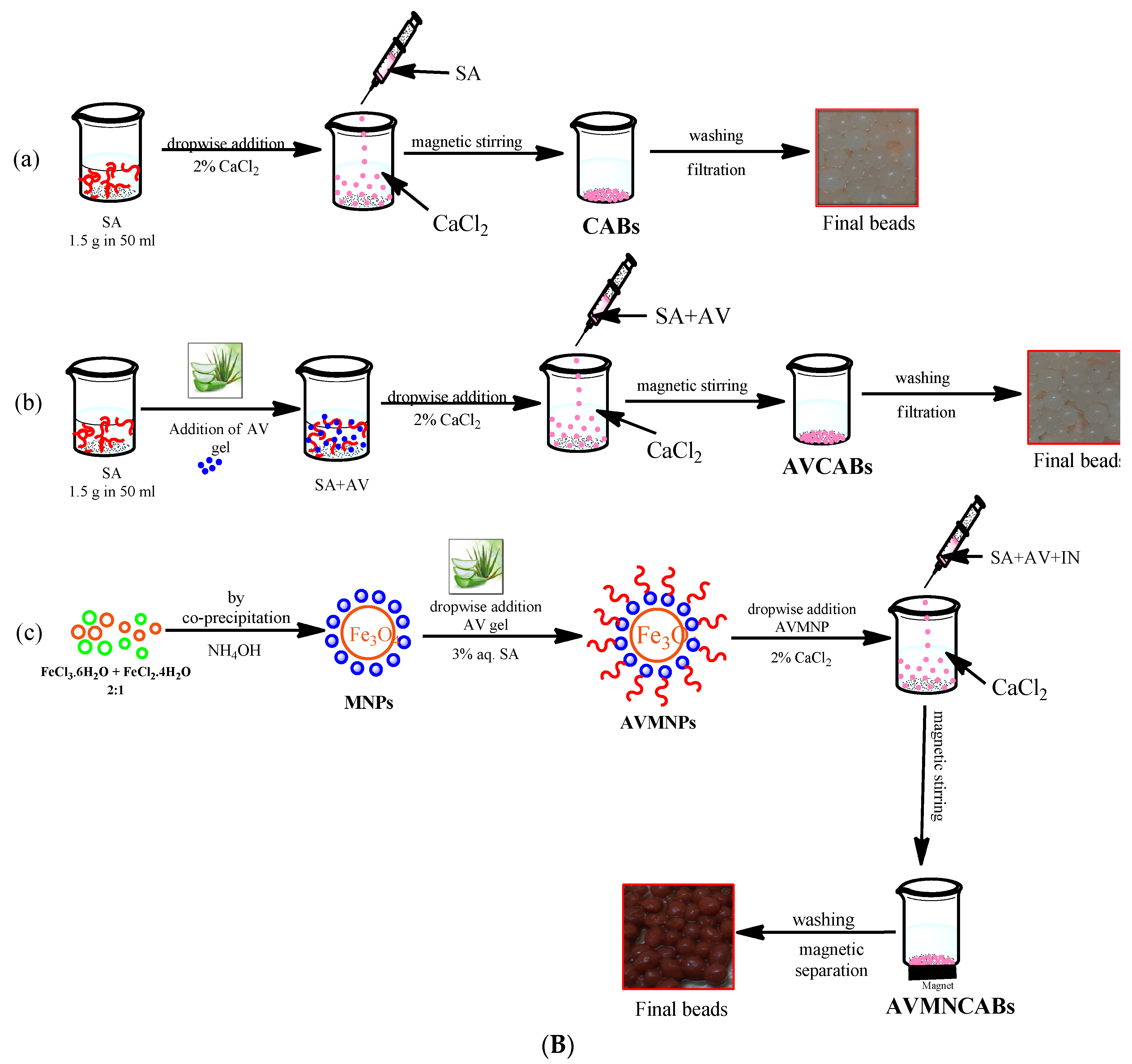 Nanomaterials 12 02947 g001b