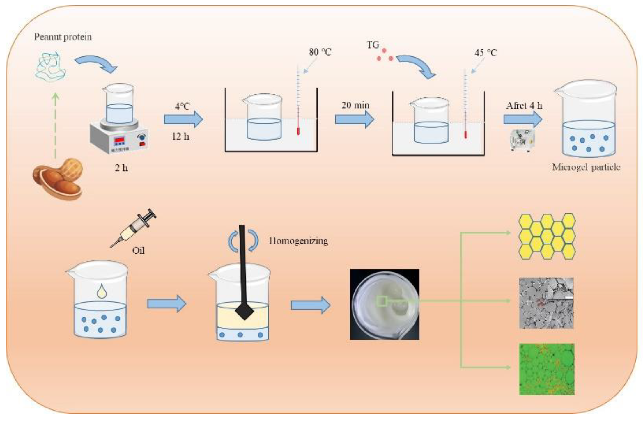 Nanomaterials 12 02949 g001