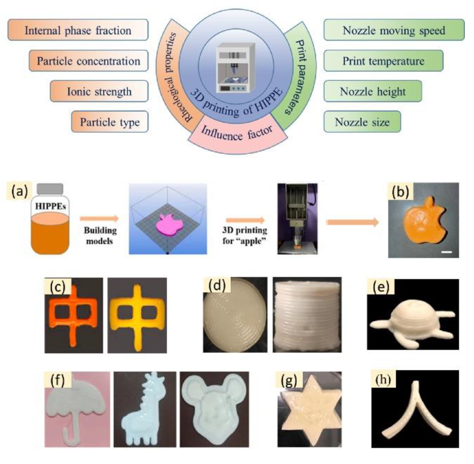 Nanomaterials 12 02949 g005