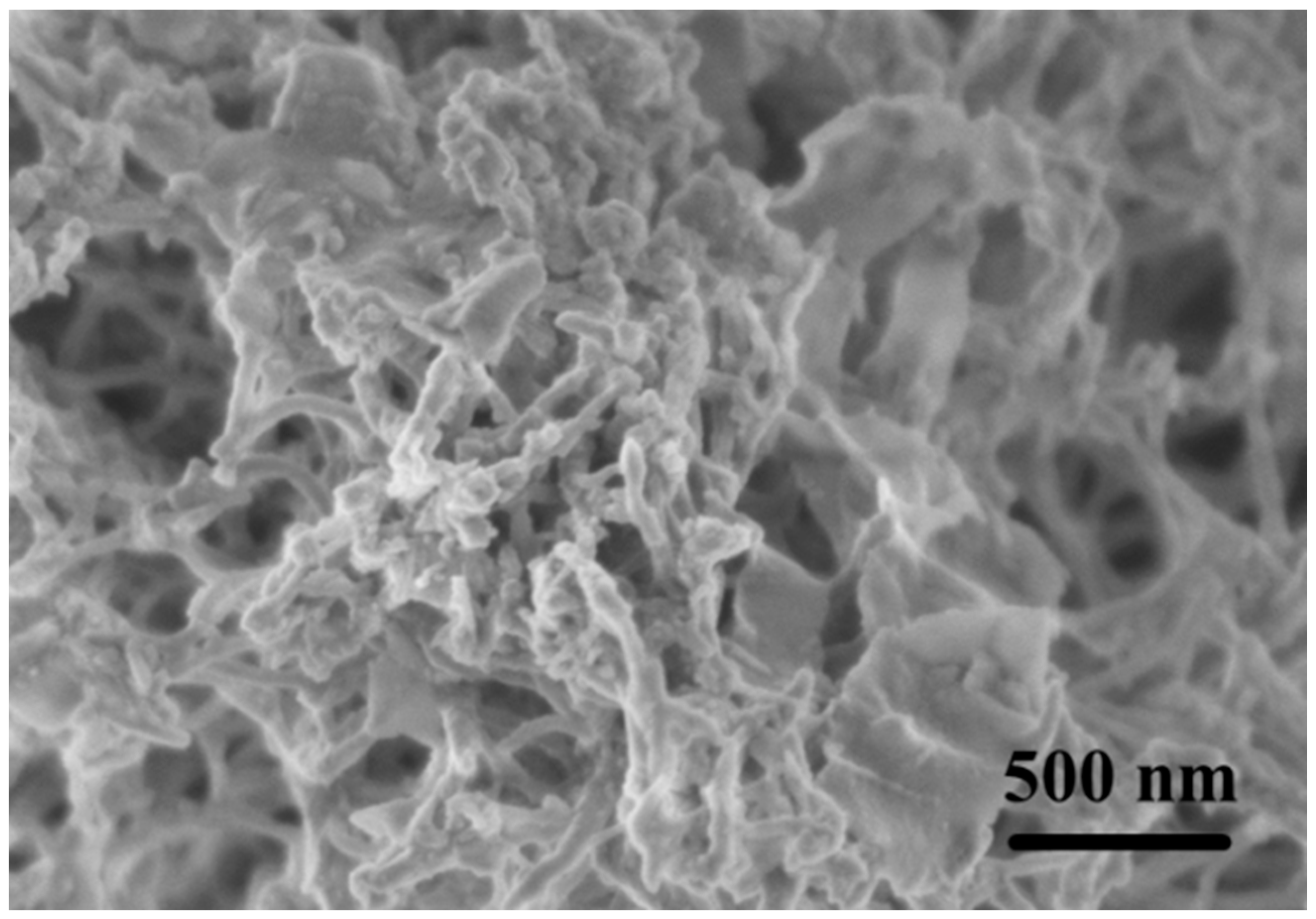 Nanomaterials | Free Full-Text | Covalent Organic Frameworks-TpPa 