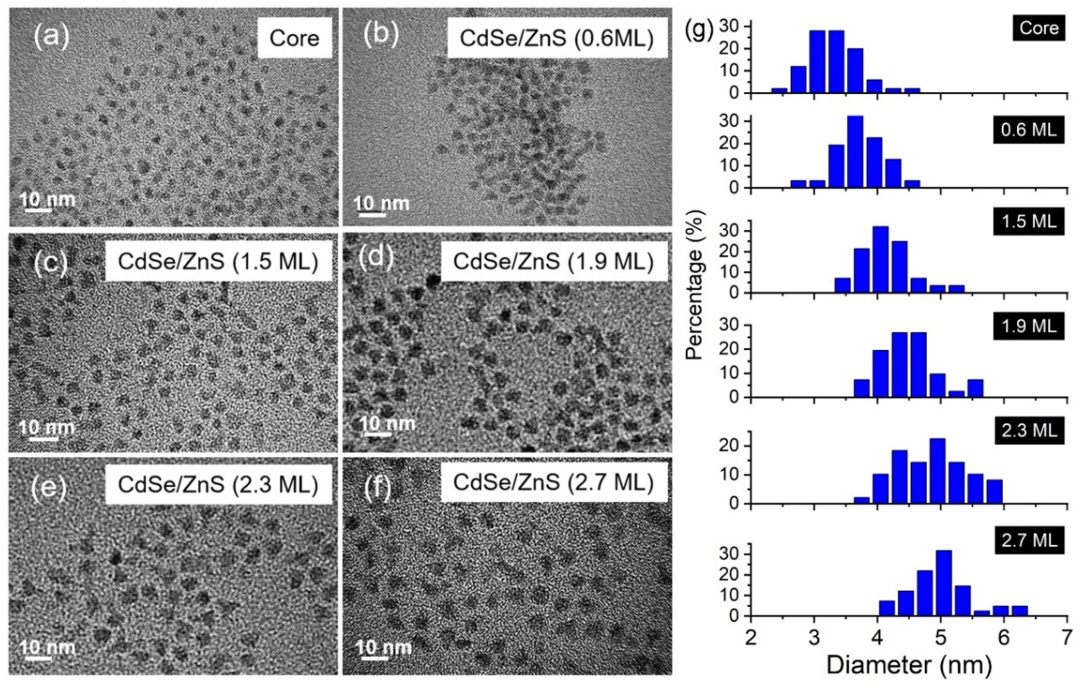Nanomaterials 12 02969 g005