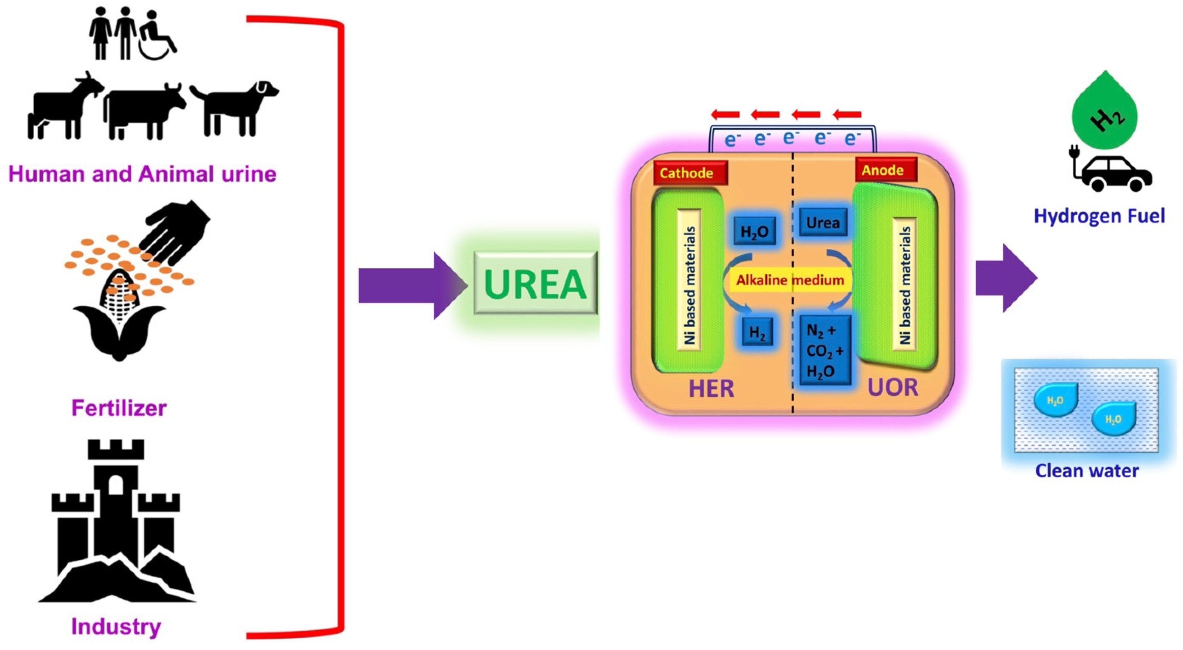 Nanomaterials 12 02970 g001