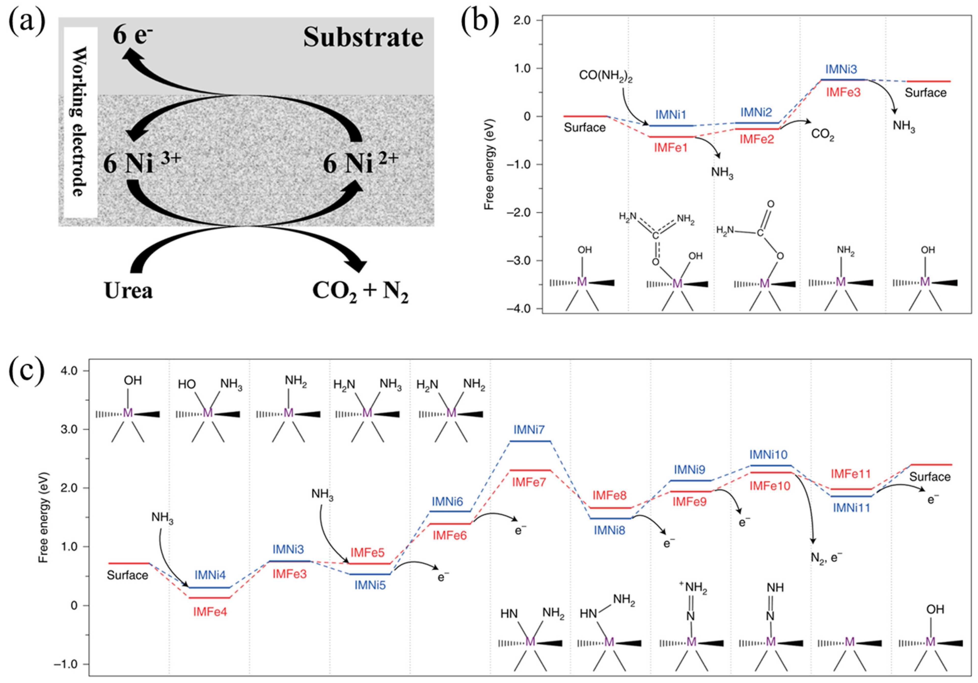 Nanomaterials Free Full Text Recent Development Of Nickel Based Electrocatalysts For Urea