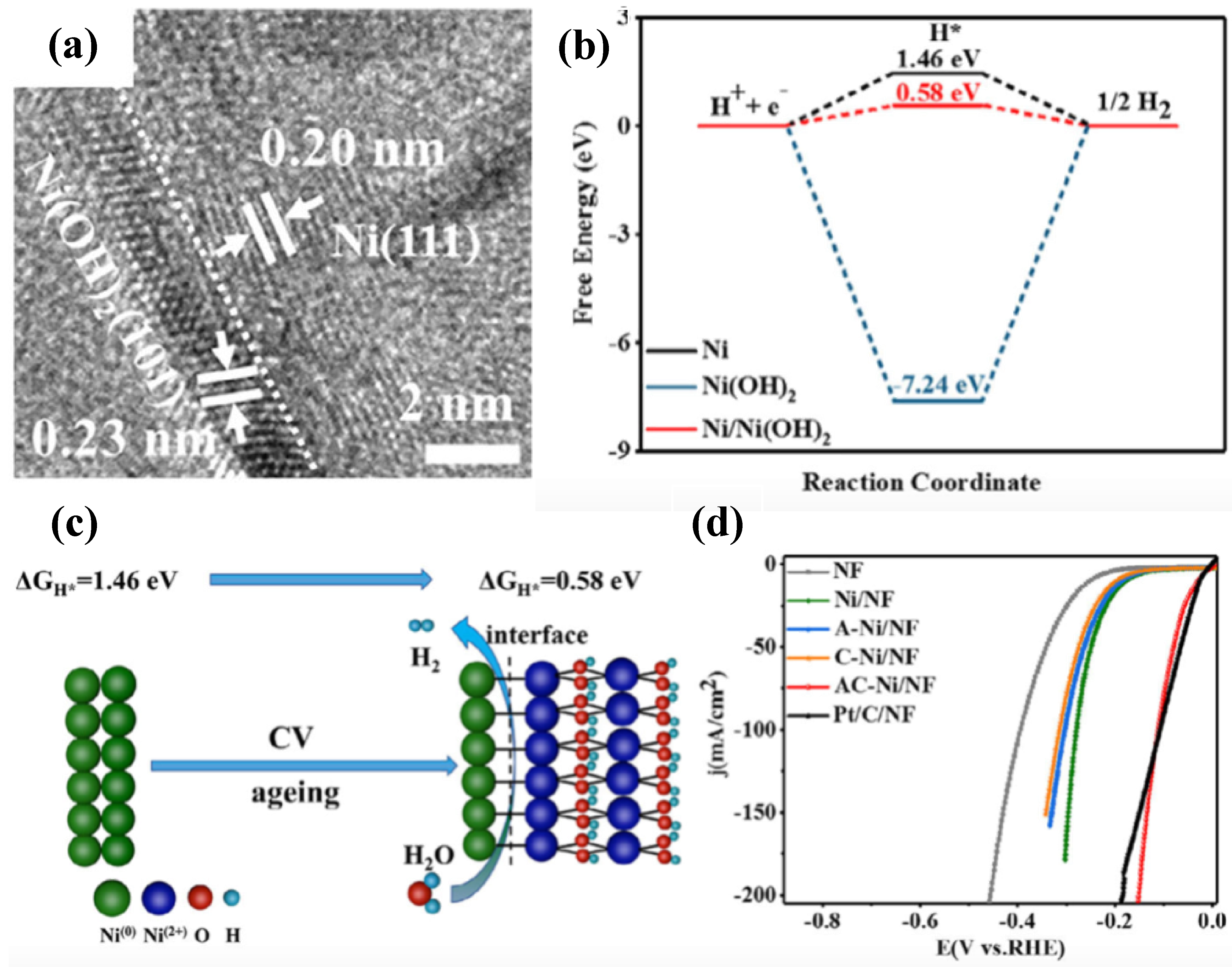 Nanomaterials 12 02970 g015