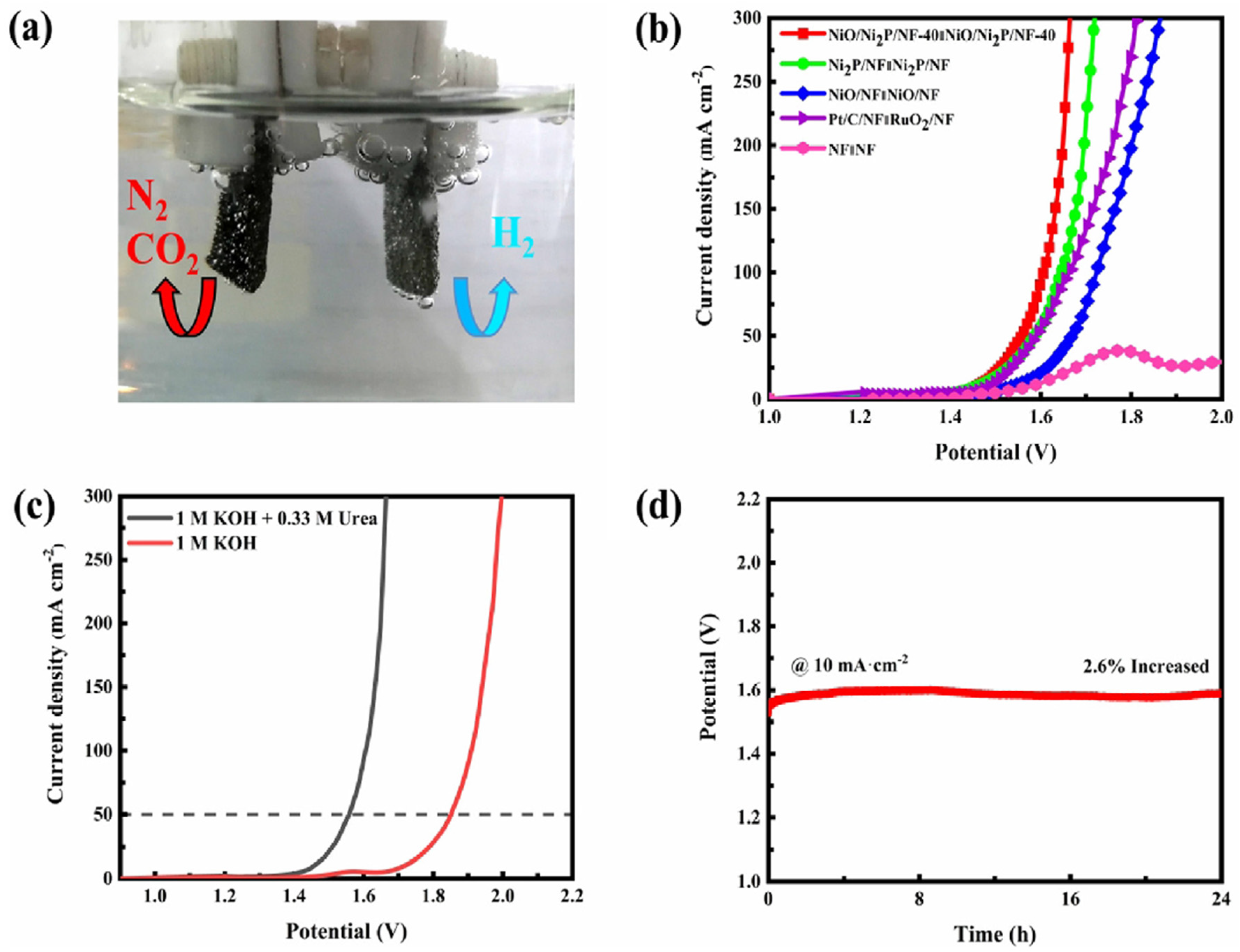 Nanomaterials 12 02970 g018