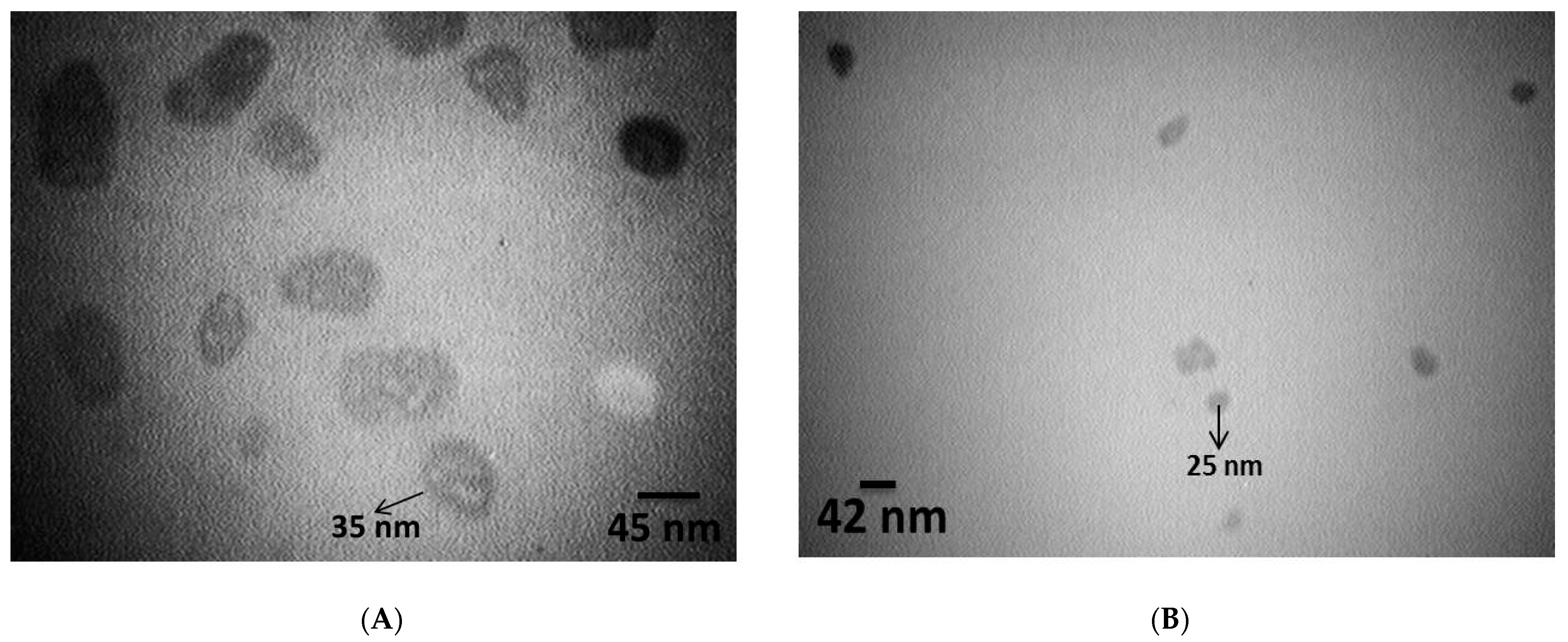 Nanomaterials 12 02971 g001