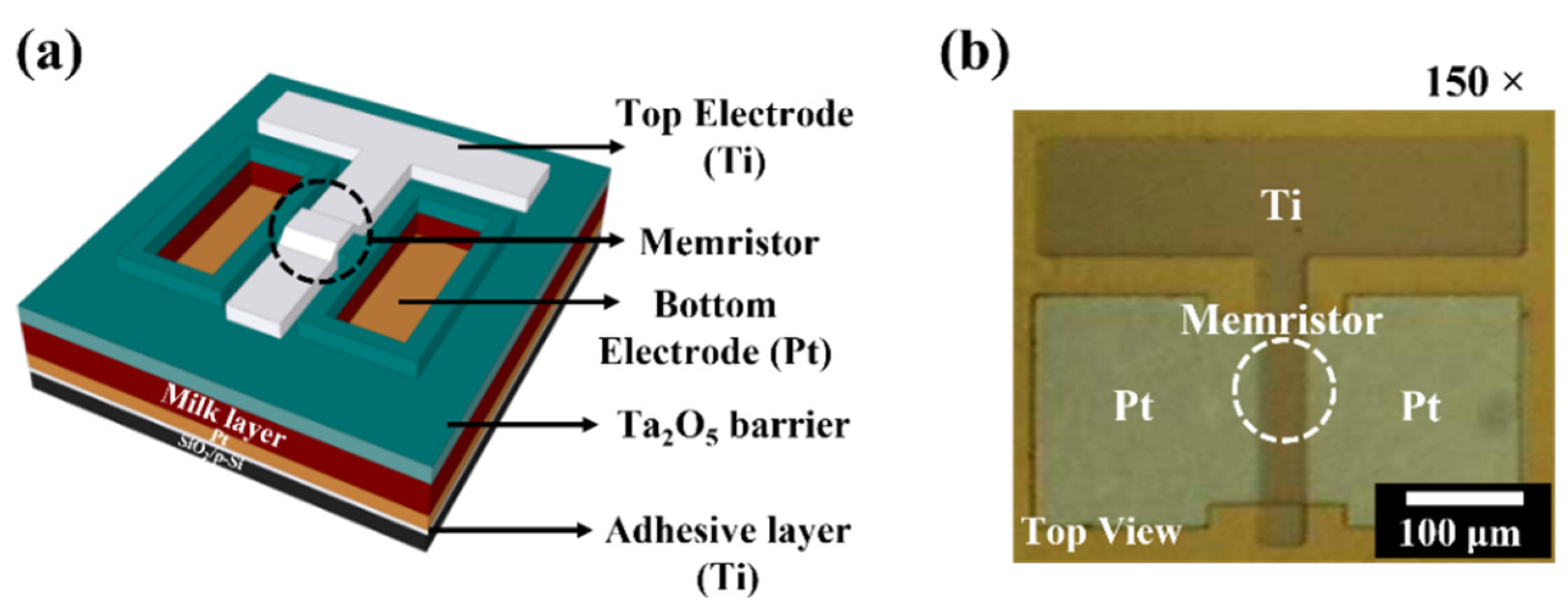 Nanomaterials 12 02978 g001
