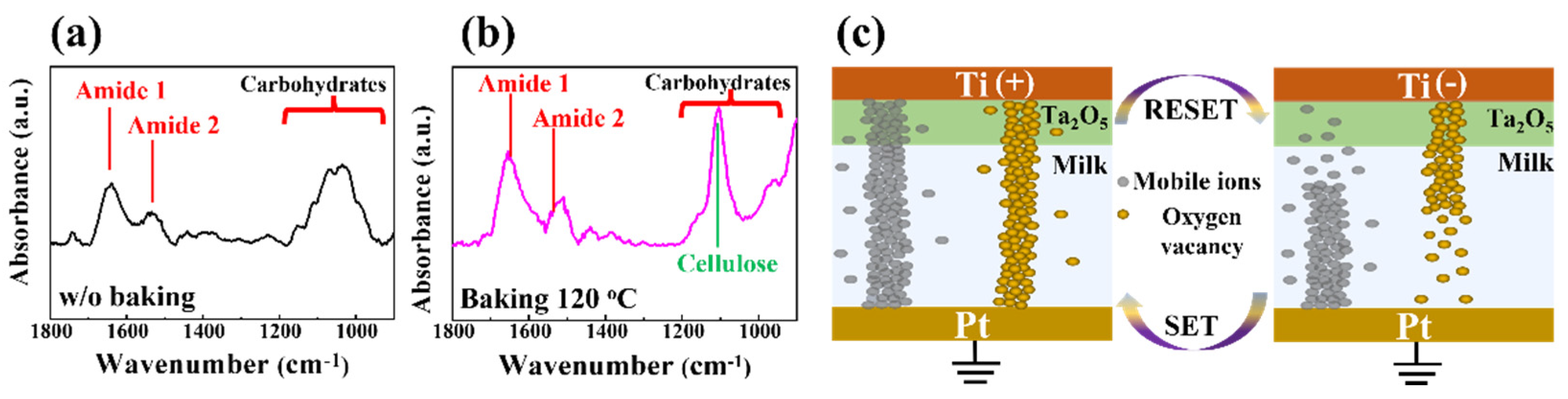Nanomaterials 12 02978 g002