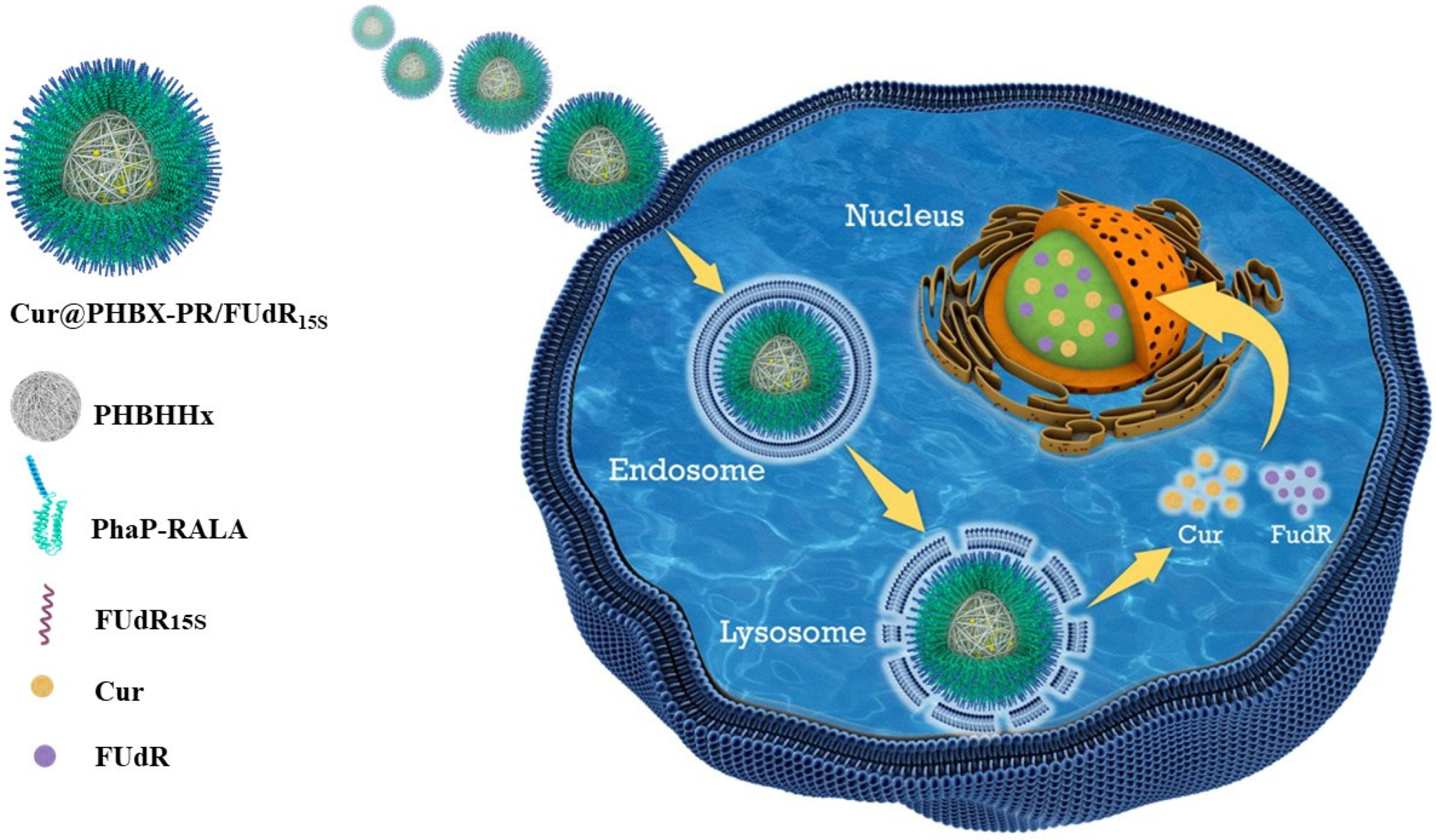 Nanomaterials 12 03024 sch001