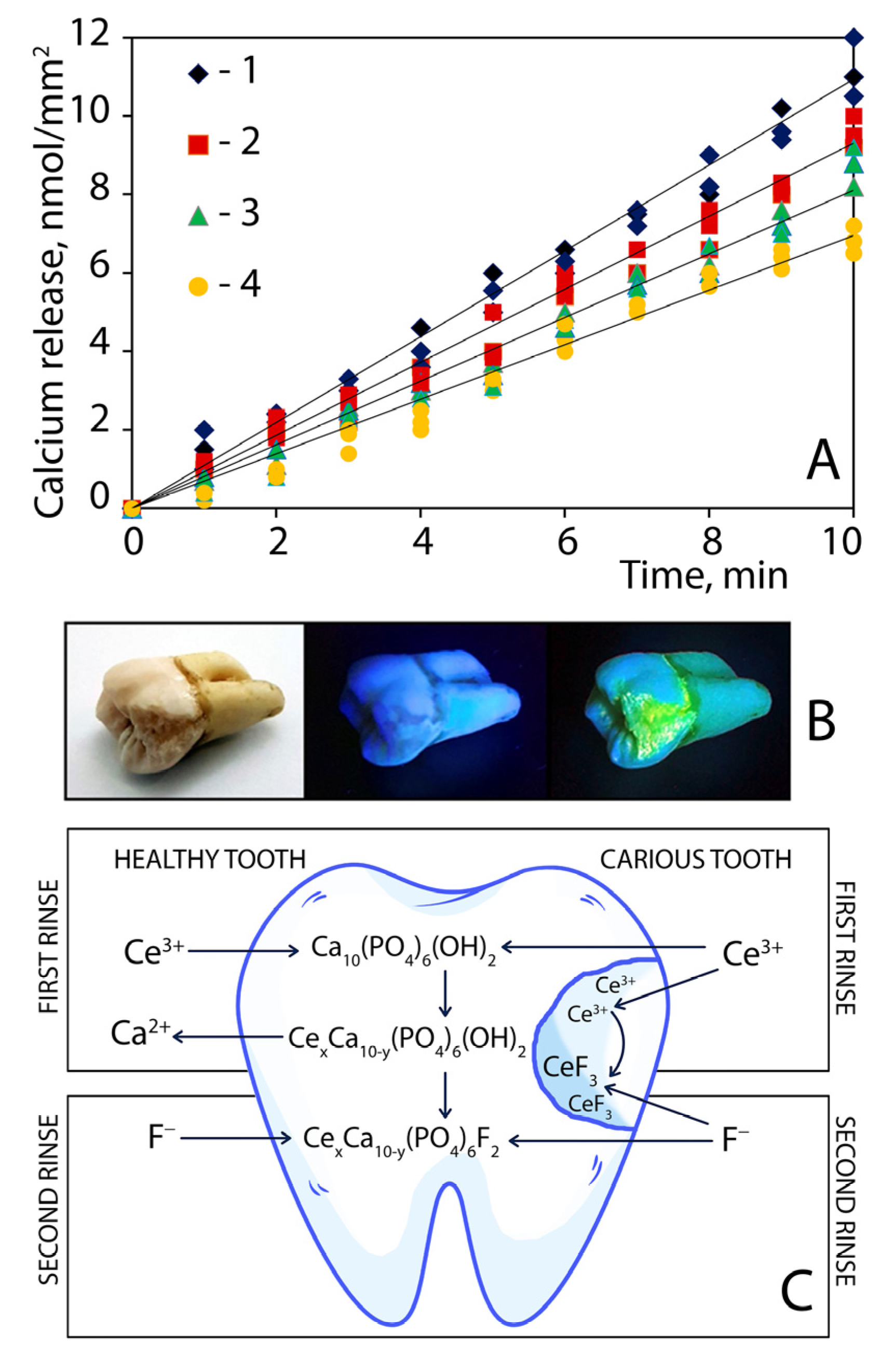 Nanomaterials 12 03034 g006