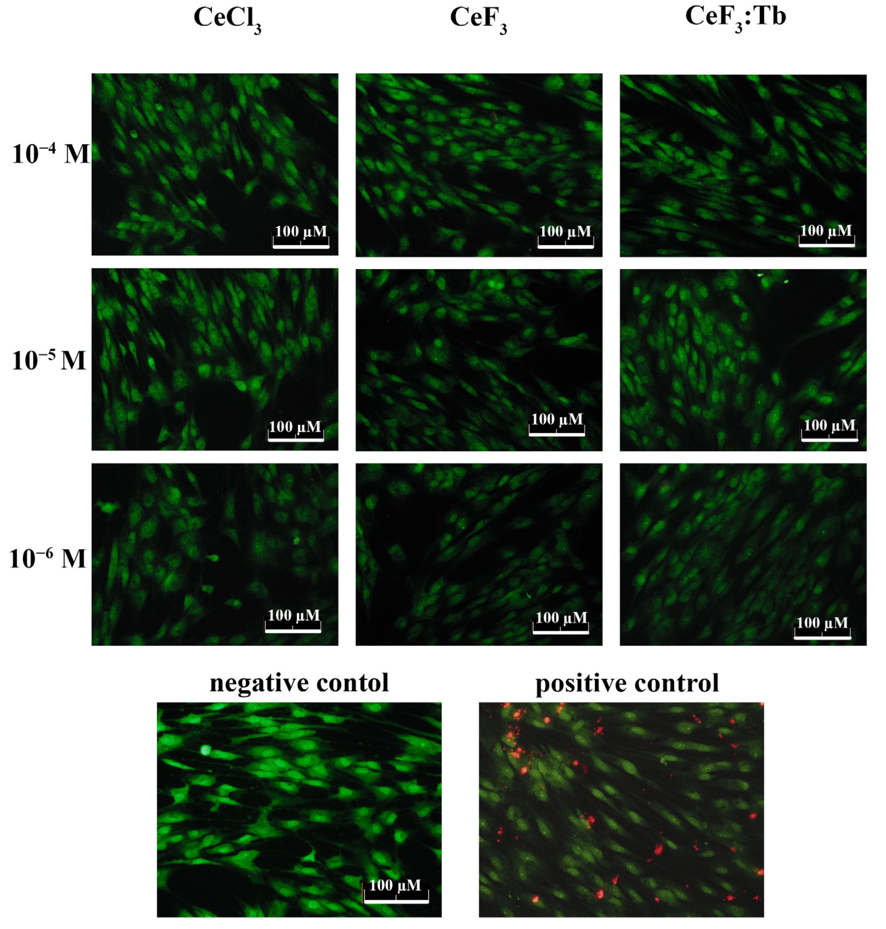 Nanomaterials 12 03034 g009