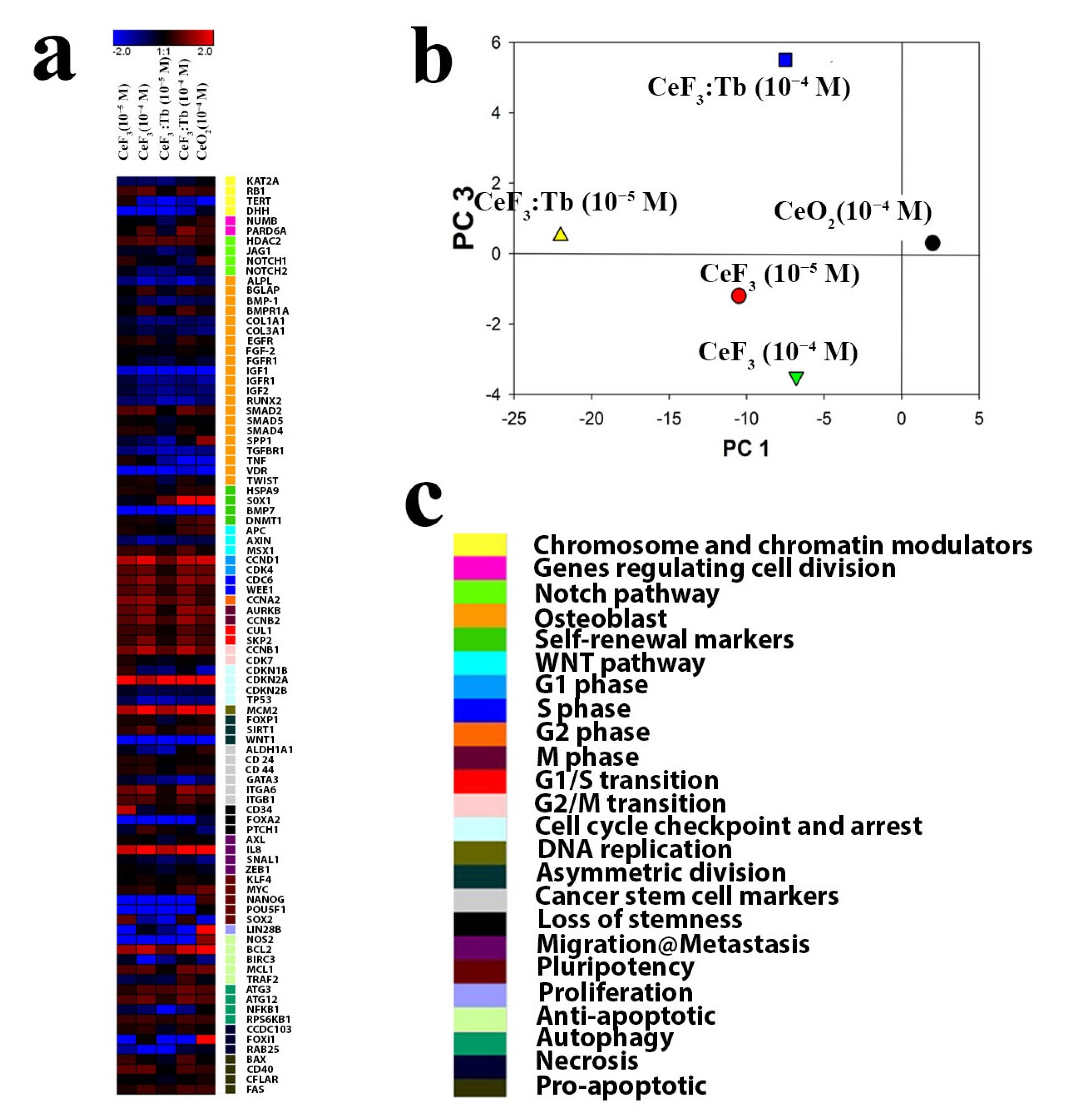 Nanomaterials 12 03034 g012