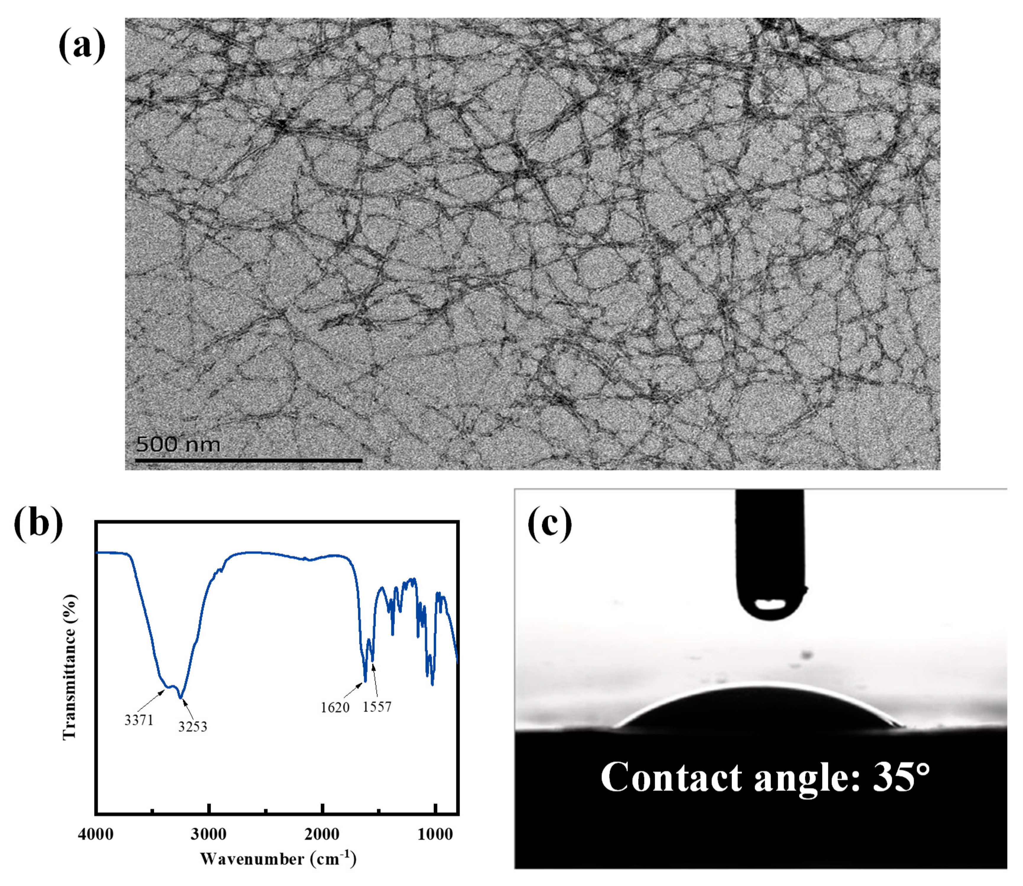 Nanomaterials 12 03035 g003