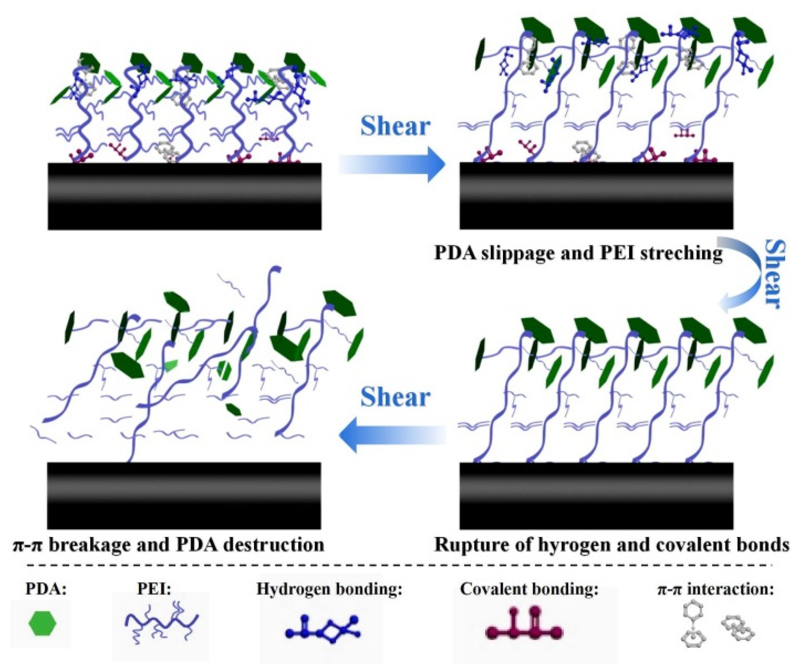 Nanomaterials 12 03056 g008