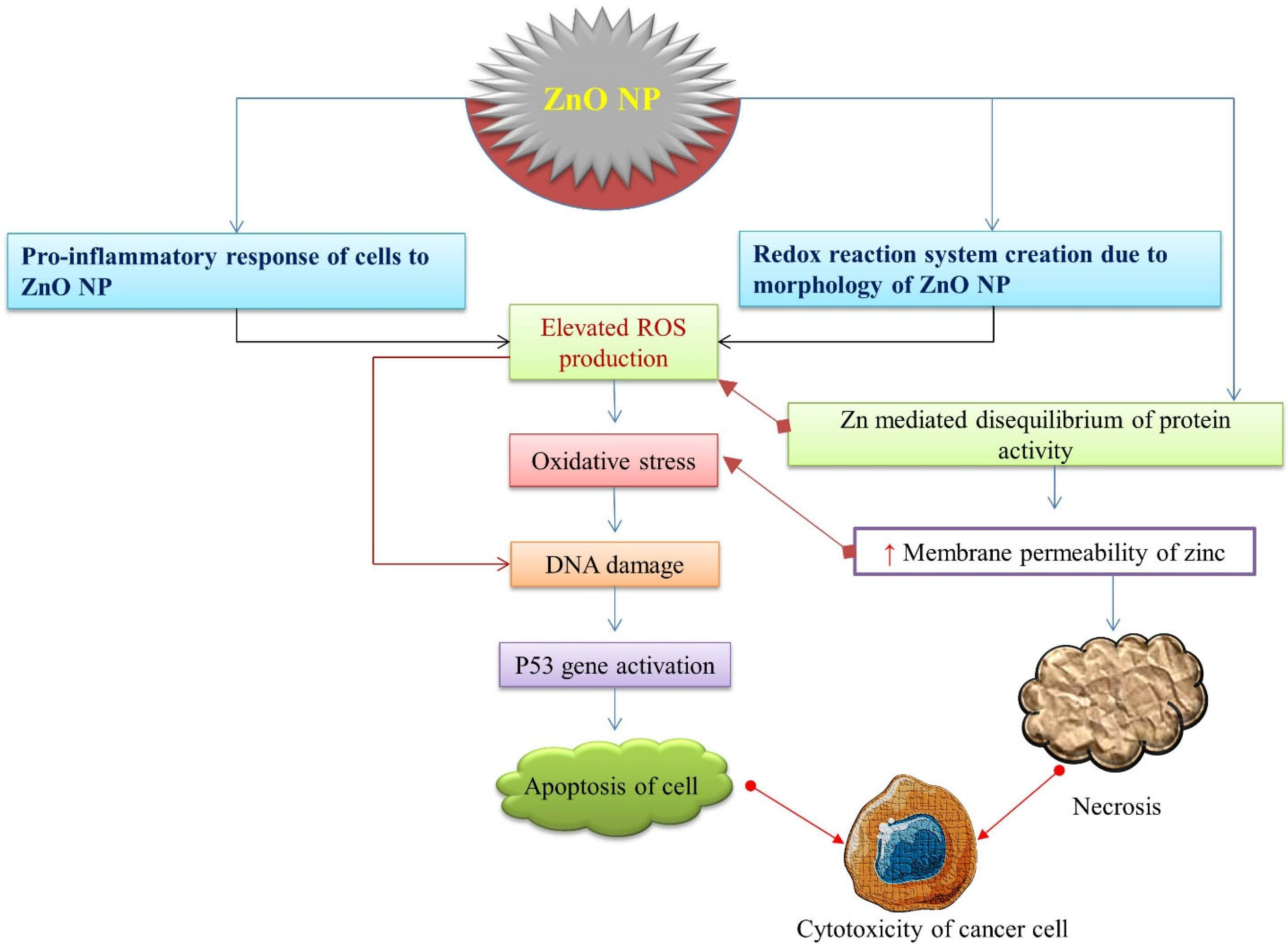 Nanomaterials 12 03066 g003 Nanomaterials 12 03066 g003