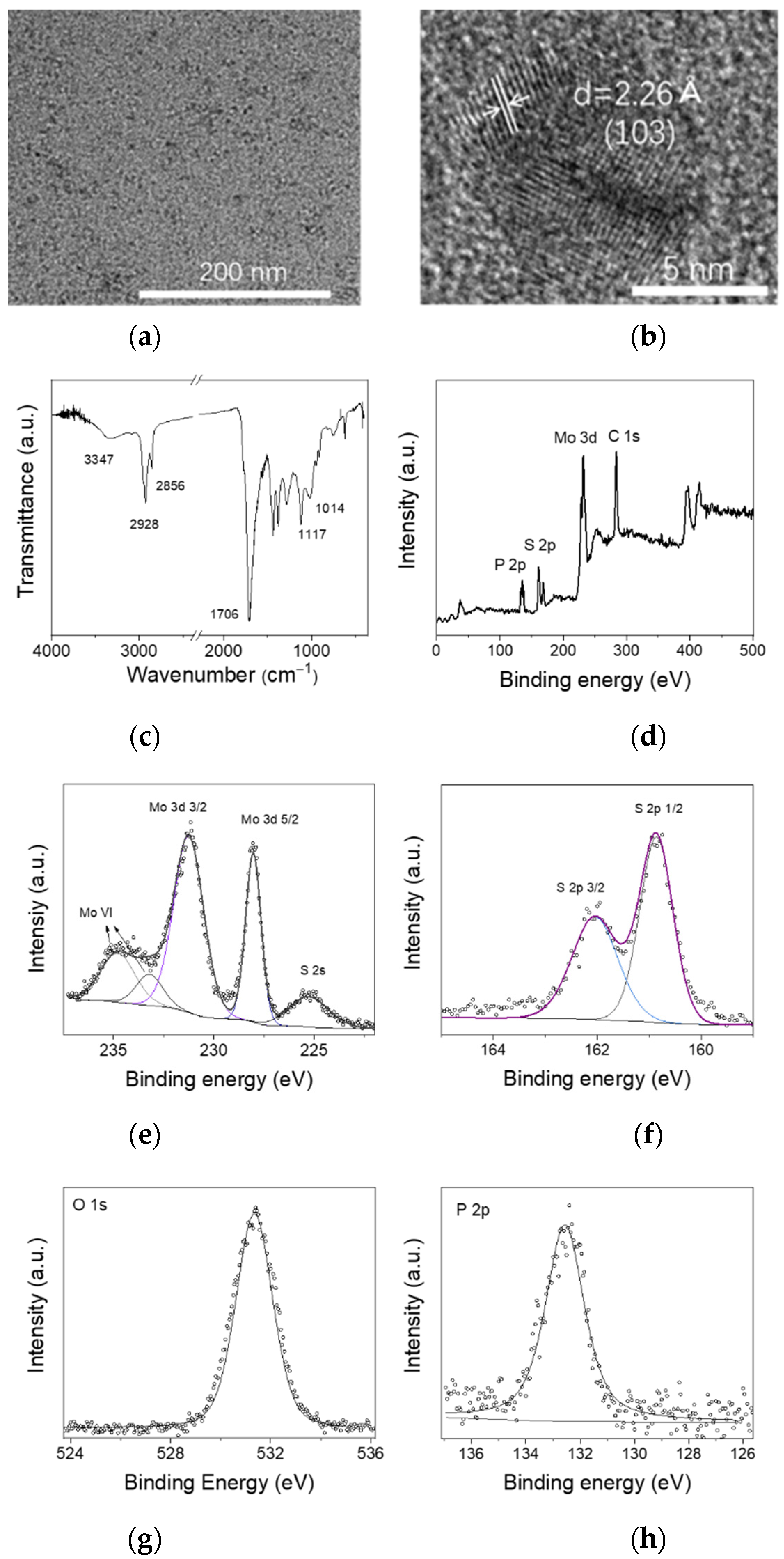 Nanomaterials 12 03079 g001