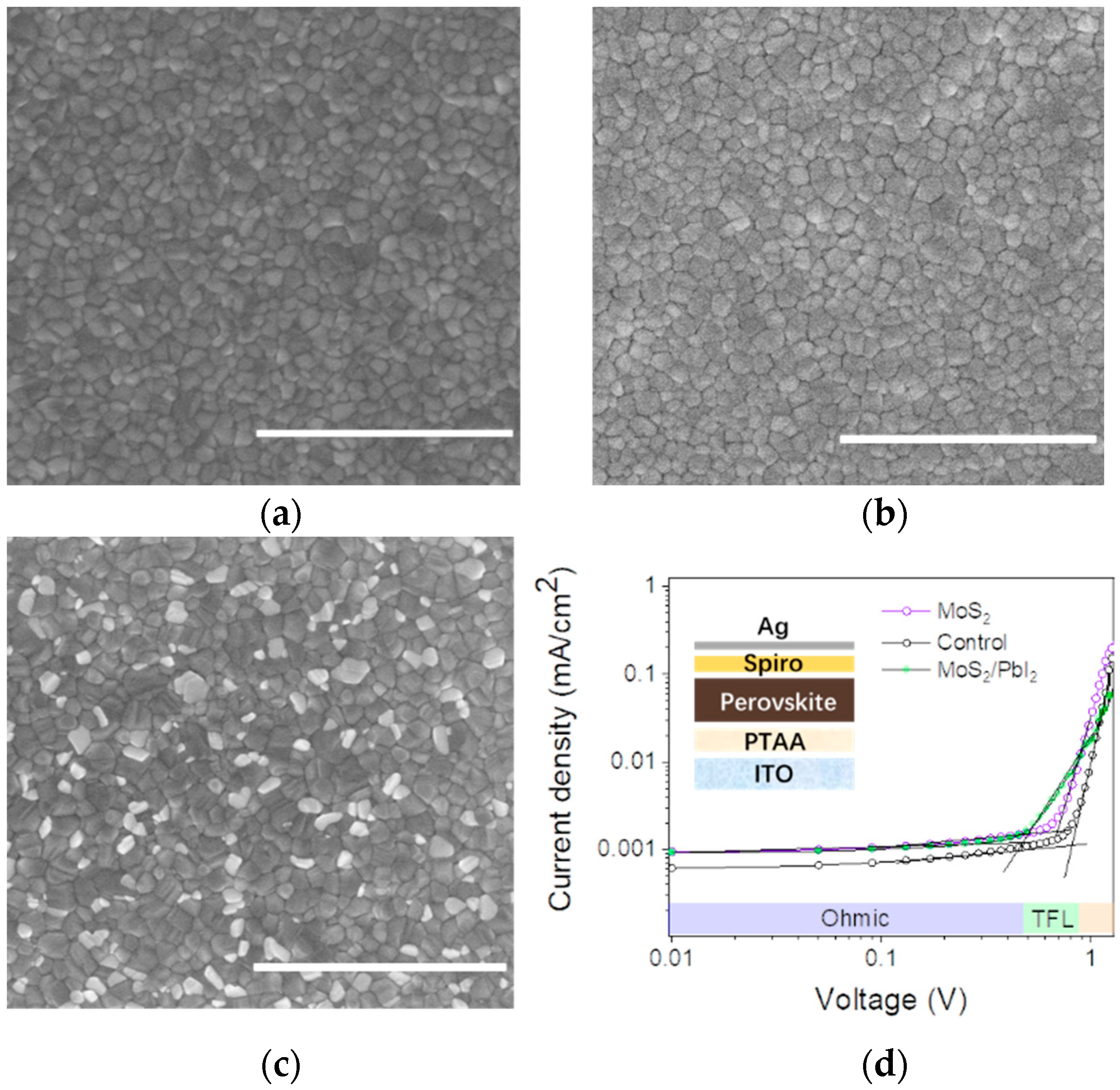 Nanomaterials 12 03079 g008