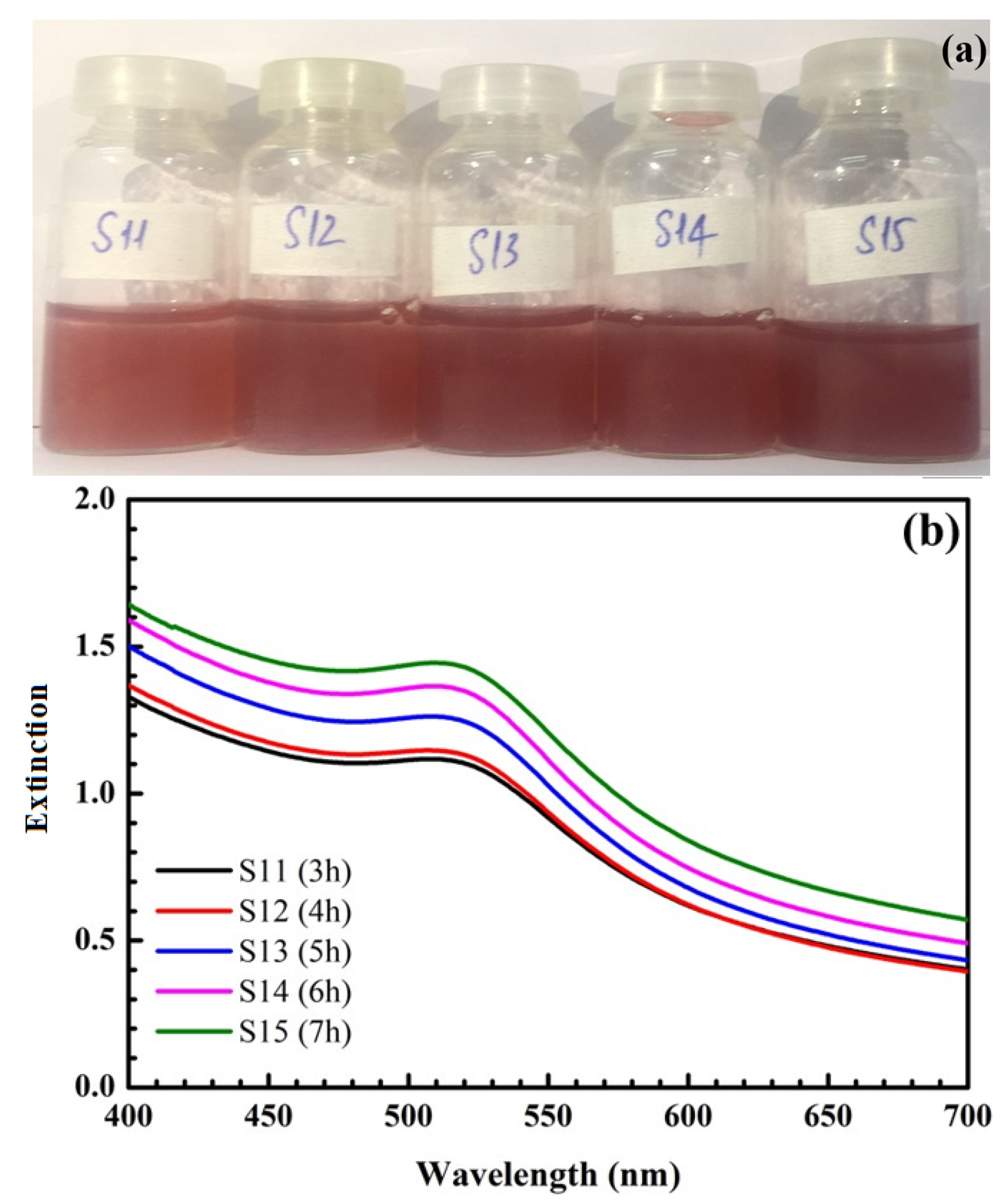 Nanomaterials 12 03080 g002a Nanomaterials 12 03080 g002a