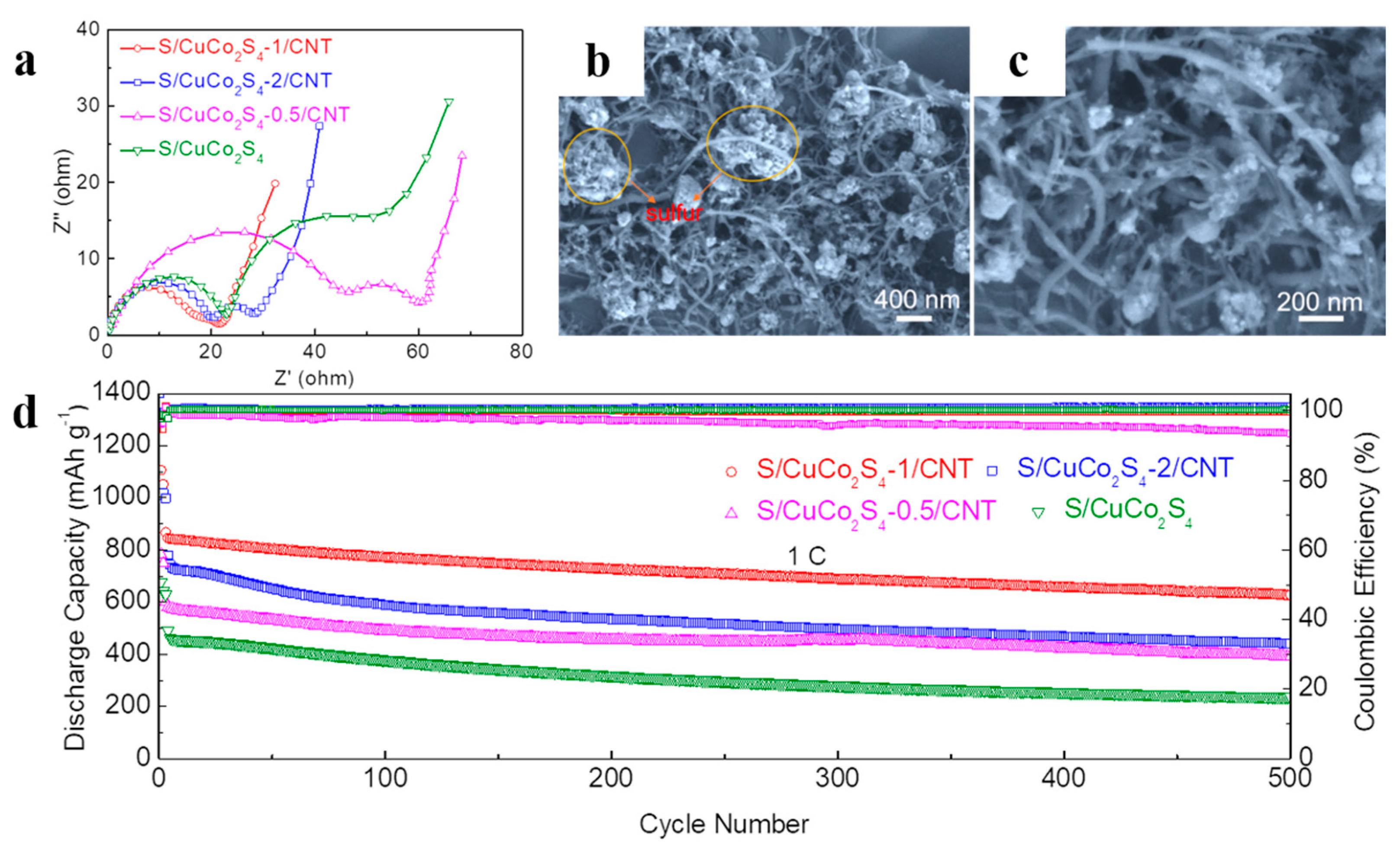 Nanomaterials 12 03104 g006