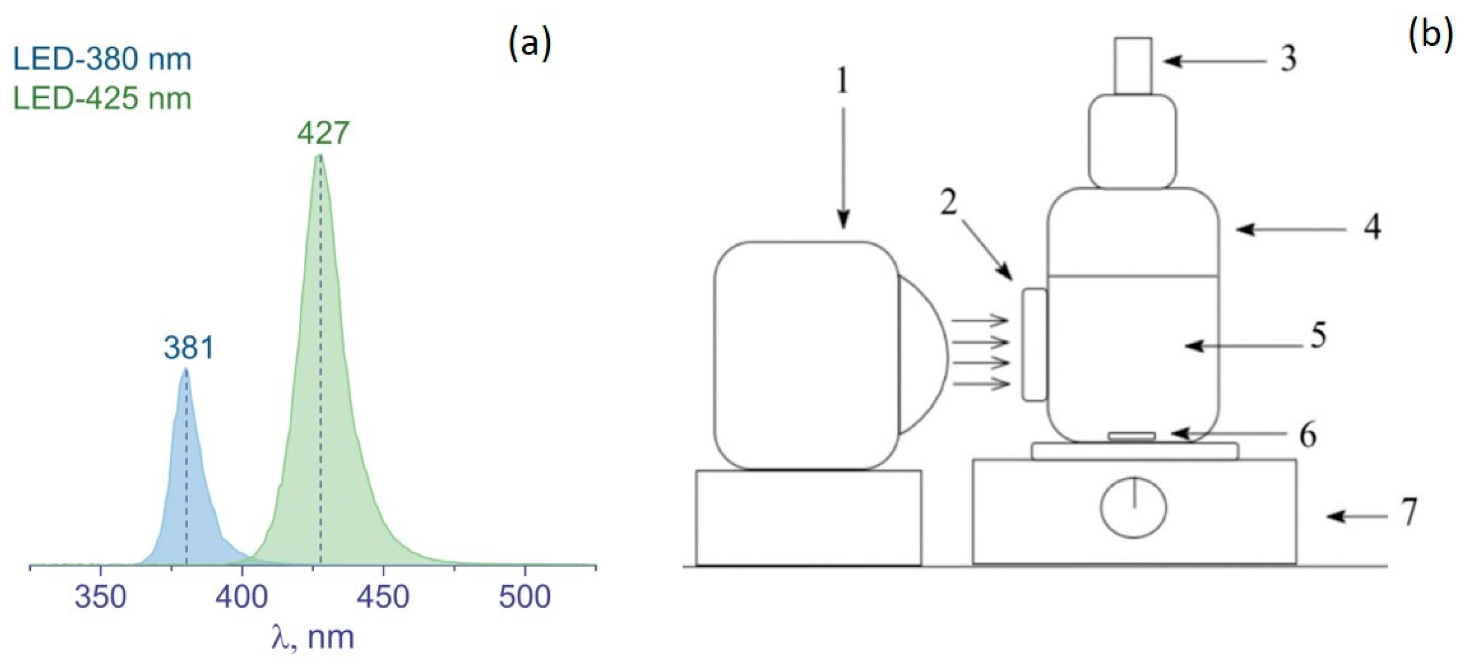 Nanomaterials 12 03106 g001