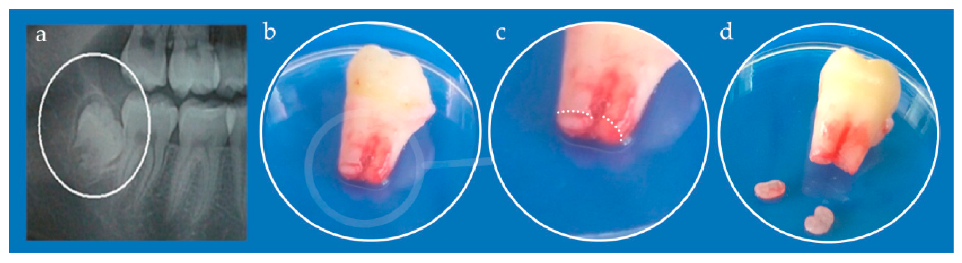 Nanomaterials 12 03116 g003