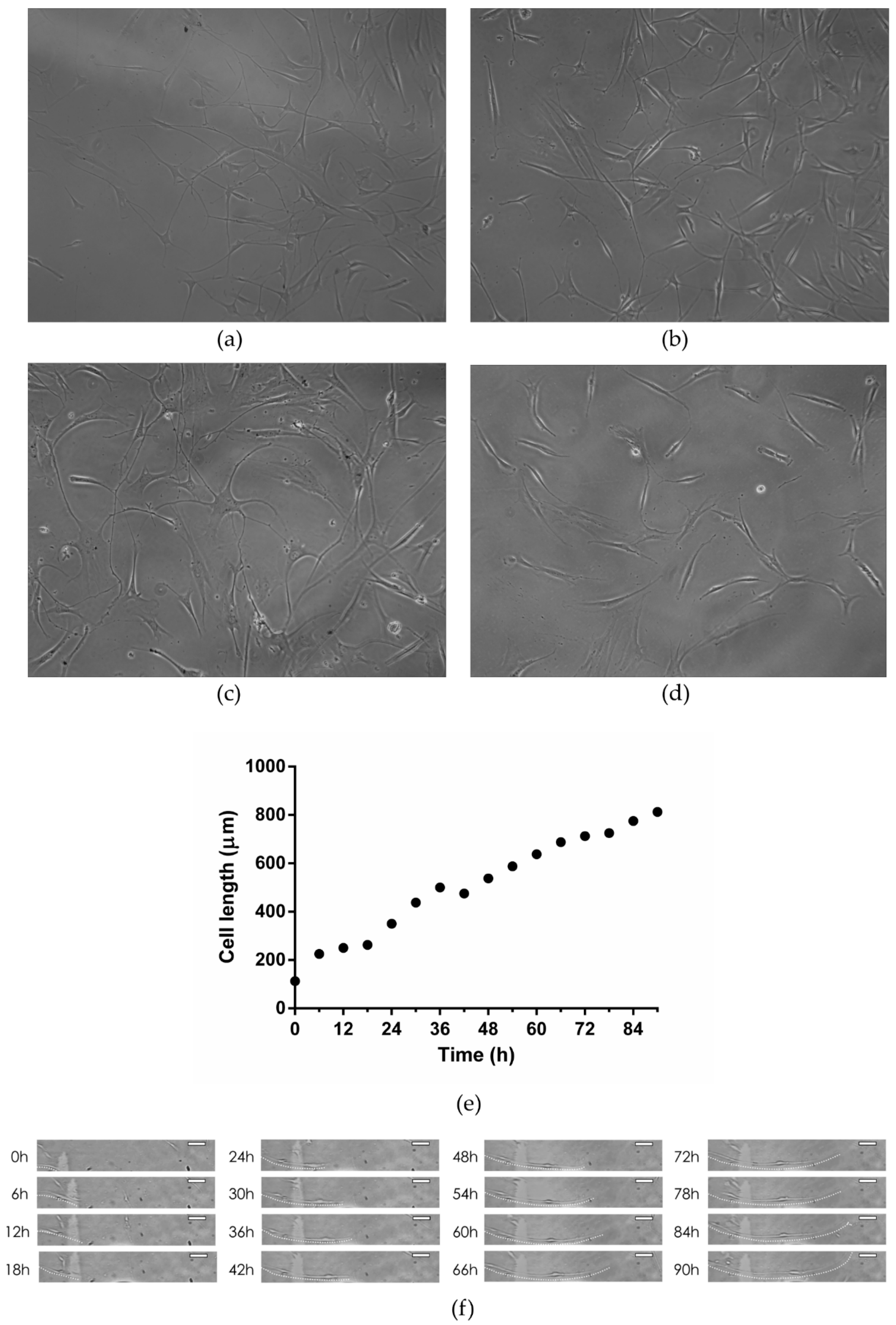 Nanomaterials 12 03116 g009