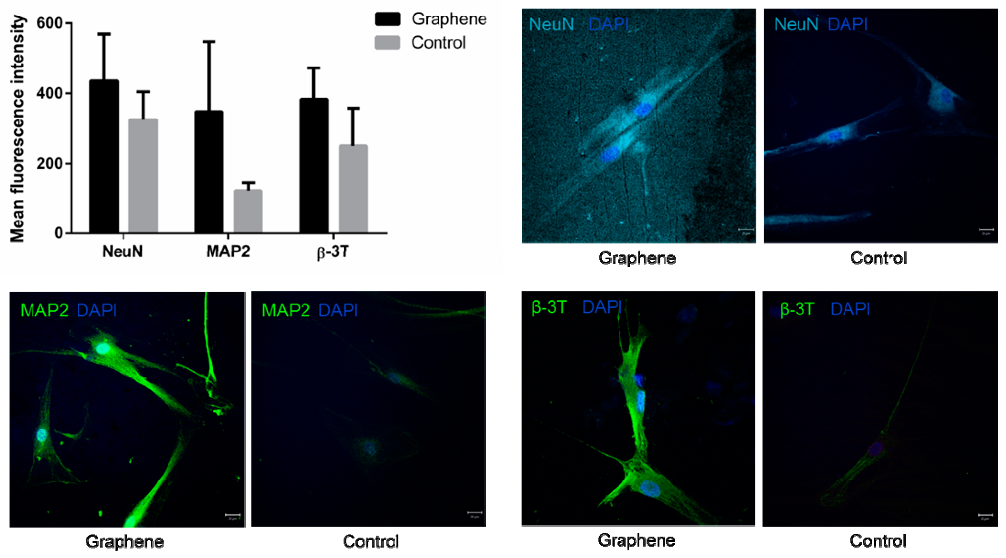 Nanomaterials 12 03116 g010