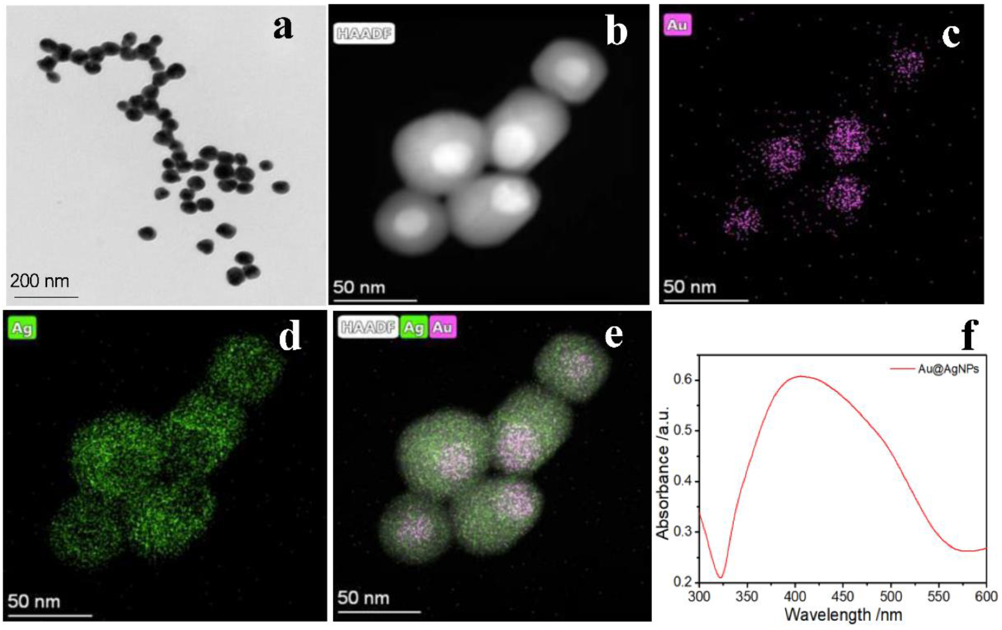 Nanomaterials 12 03119 g001