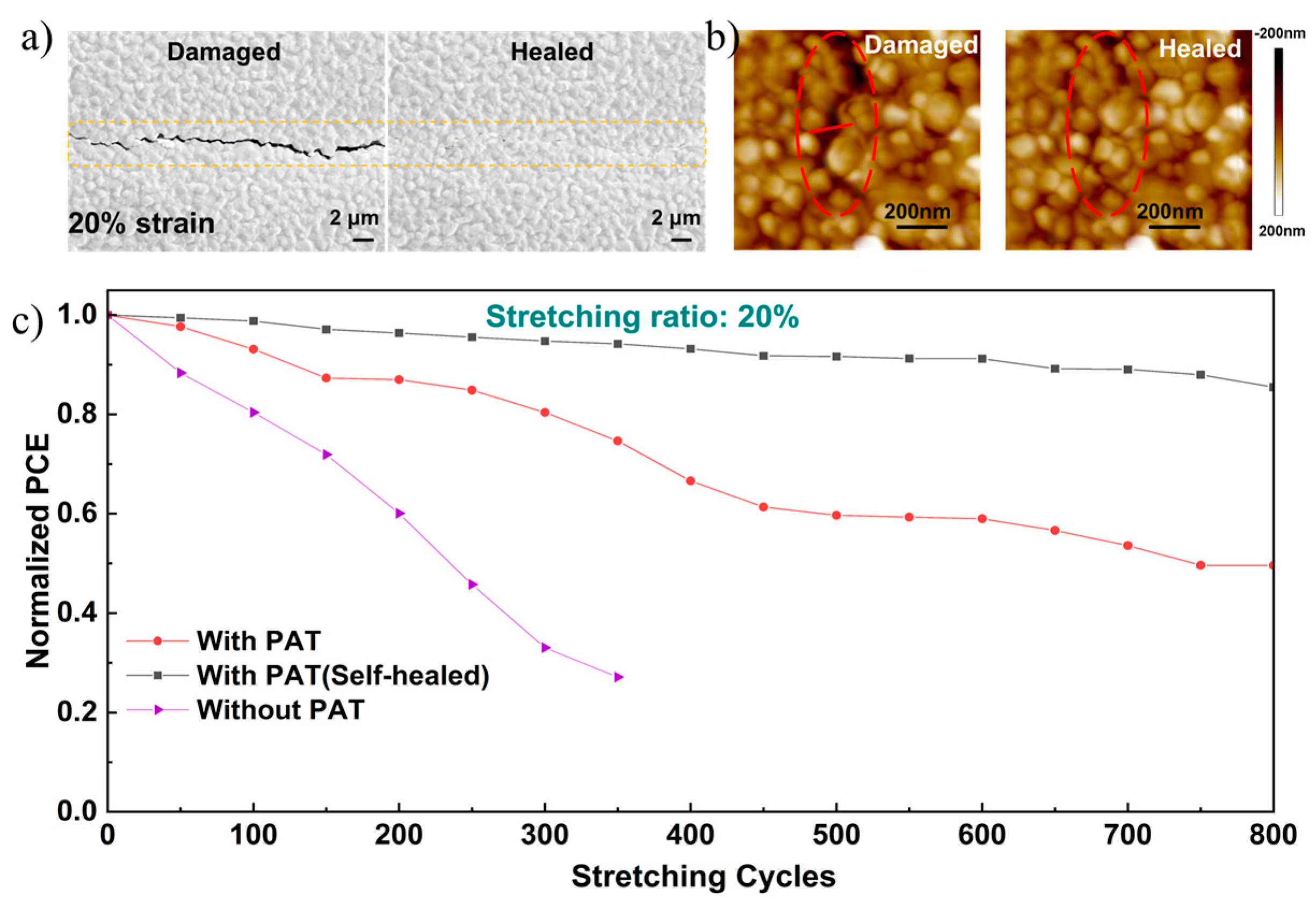 Nanomaterials 12 03125 g005