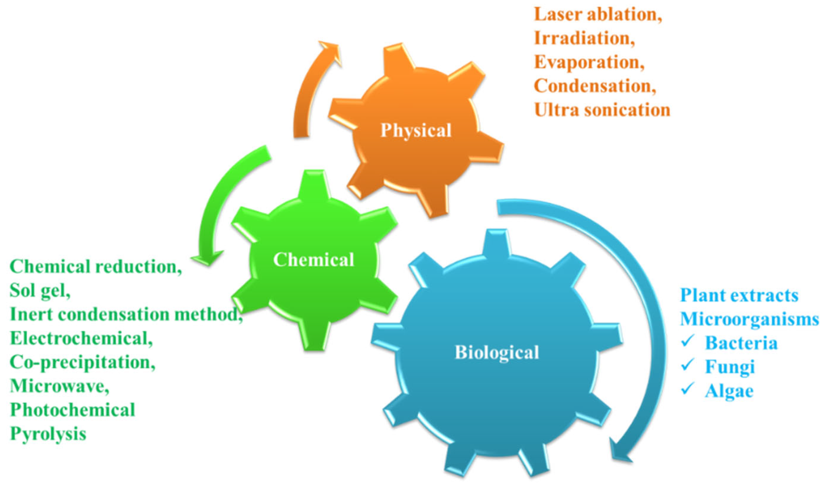 Nanomaterials 12 03126 g001