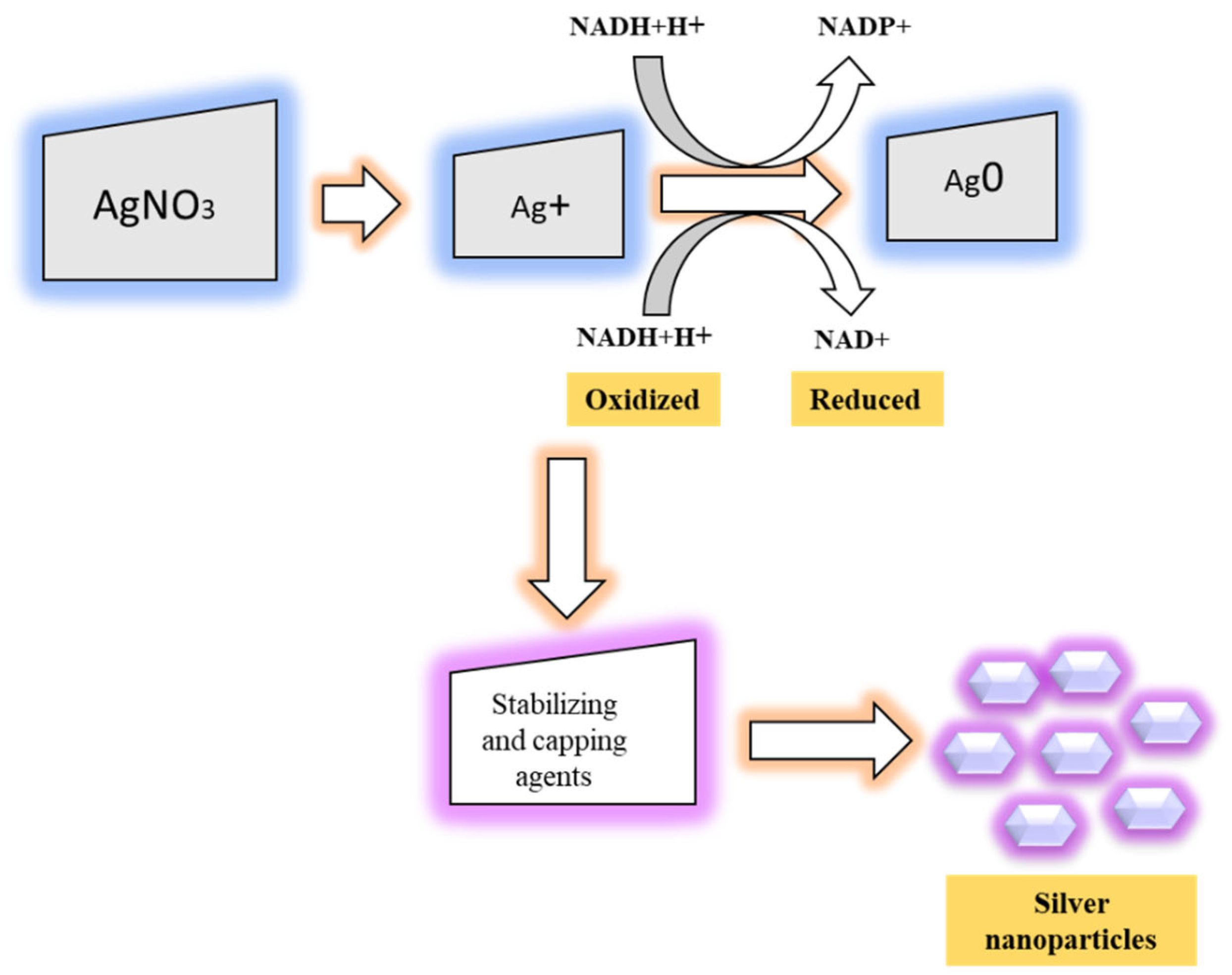 Nanomaterials 12 03126 g003