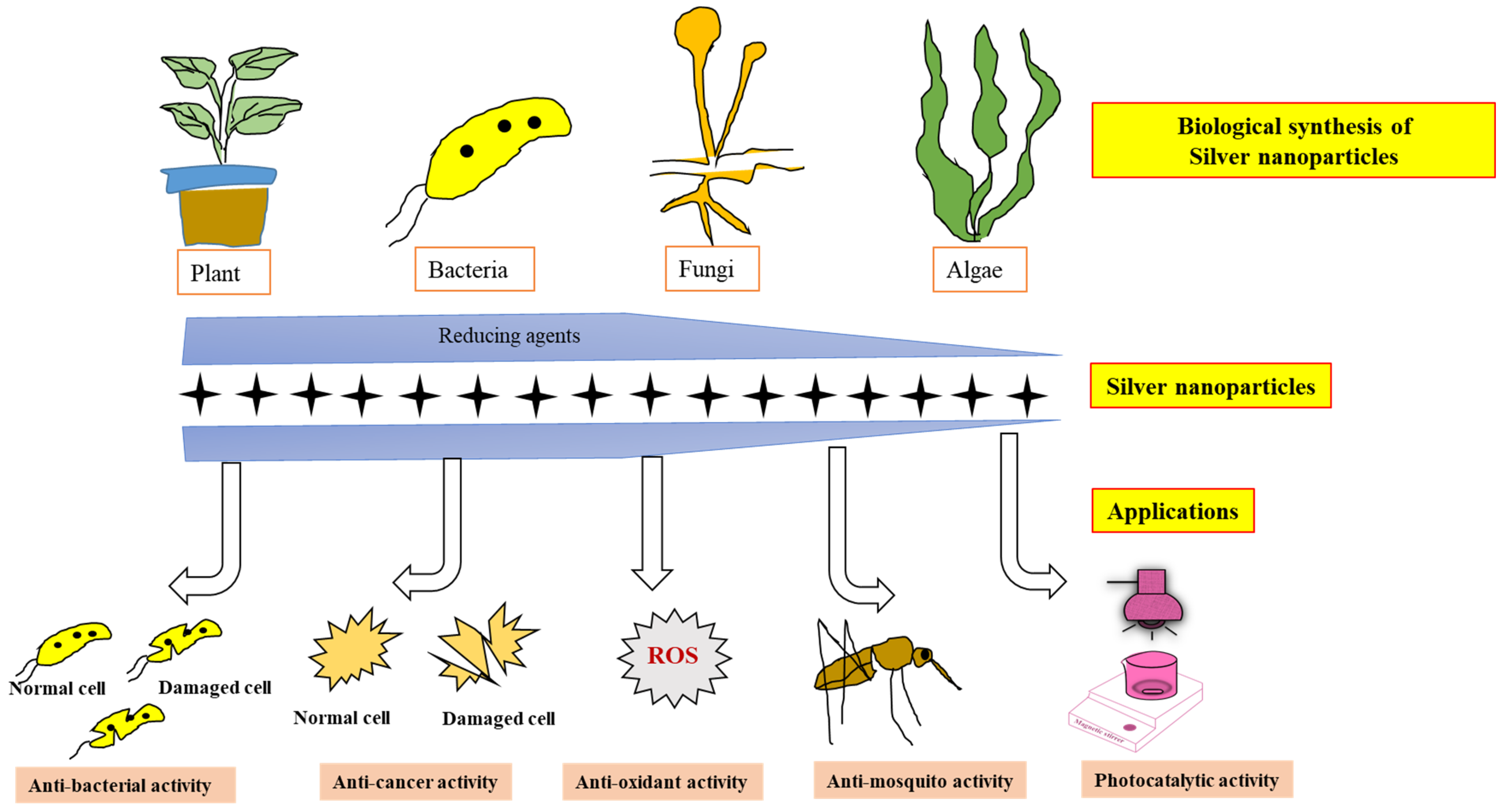 Nanomaterials 12 03126 g005