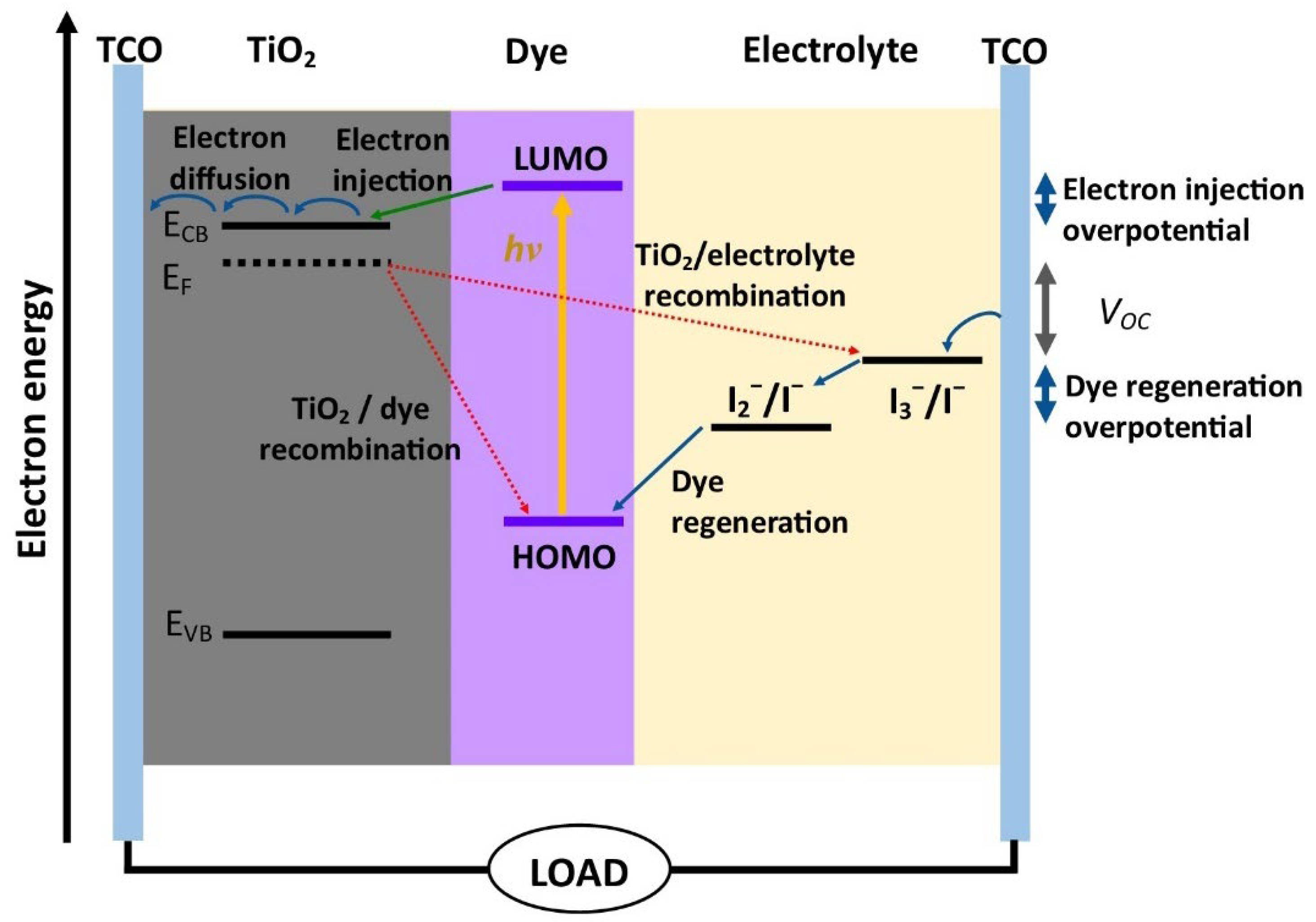 Nanomaterials 12 03128 g001