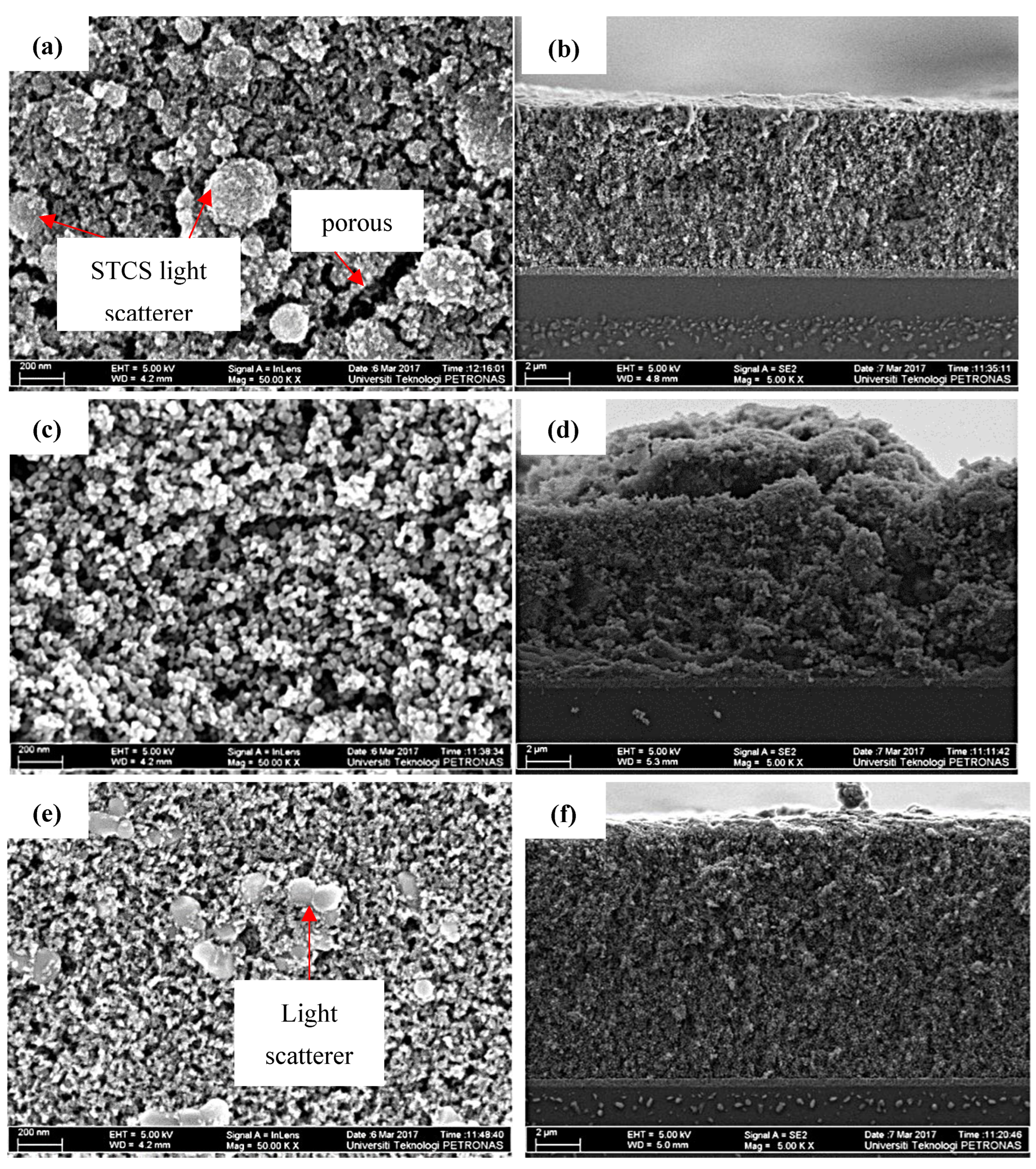 Nanomaterials 12 03128 g006
