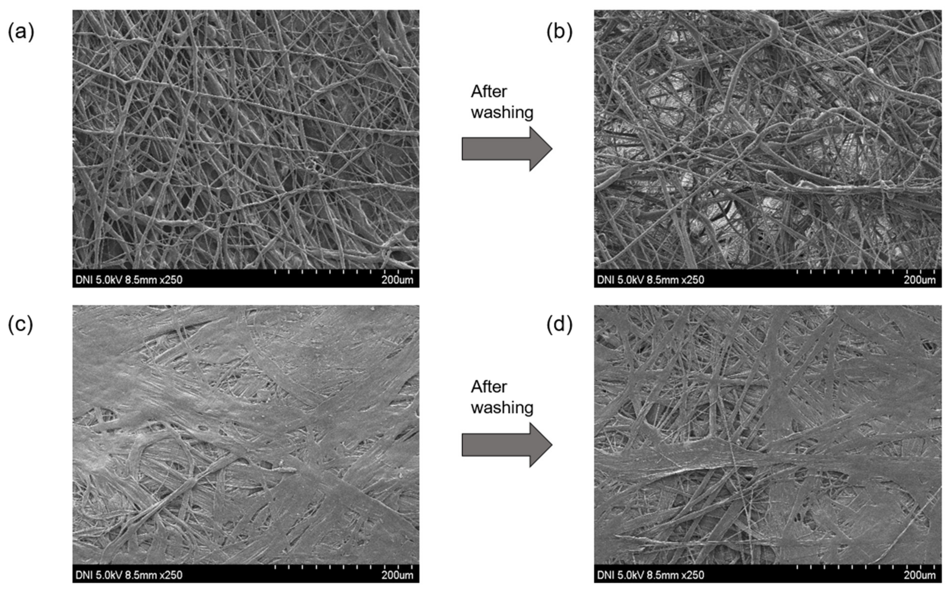 Nanomaterials 12 03152 g004